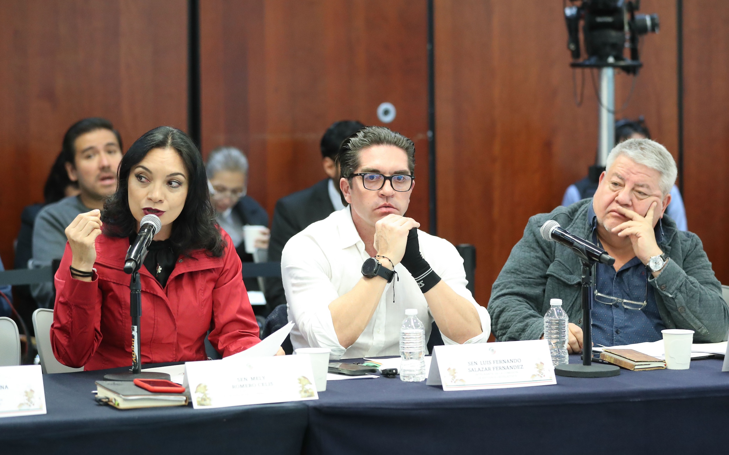 Comisiones Unidas Reordenamiento  Urbano y Vivienda -