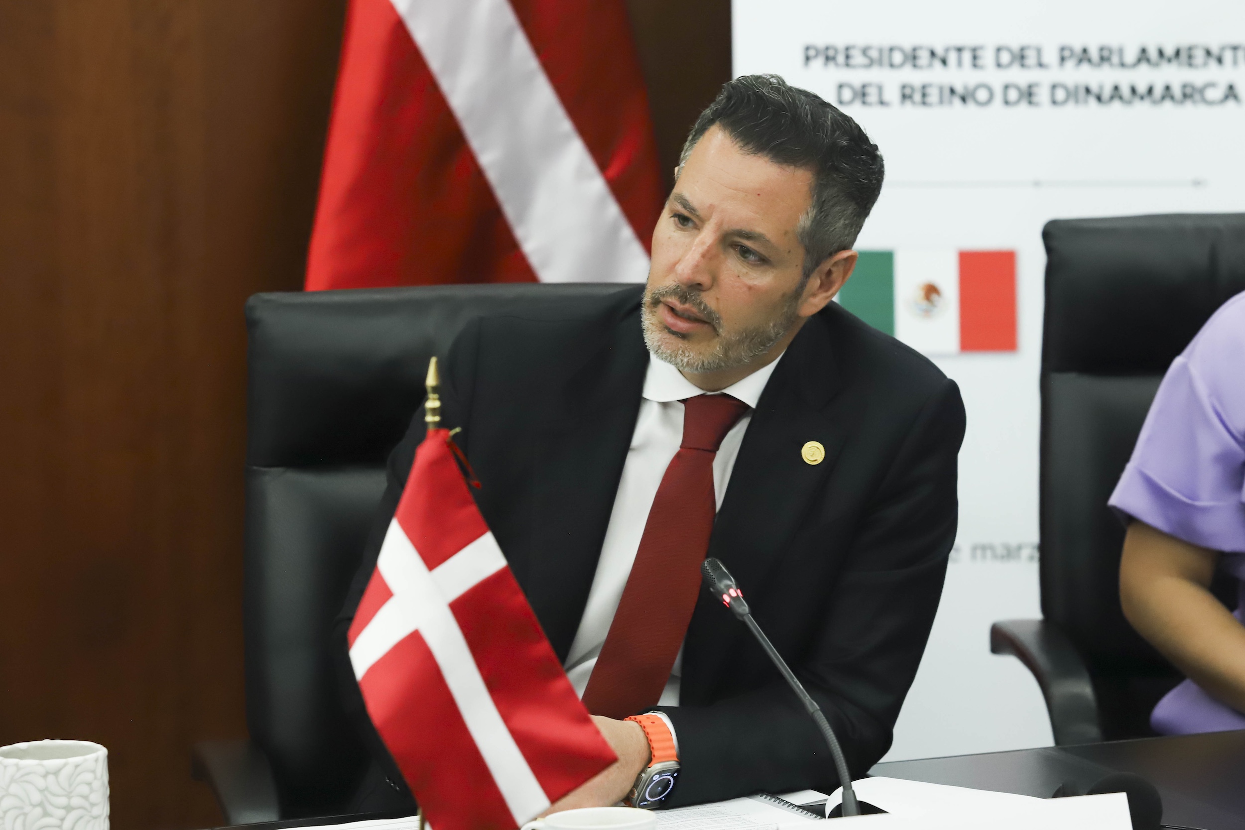 Visita Parlamento Dinamarca -
