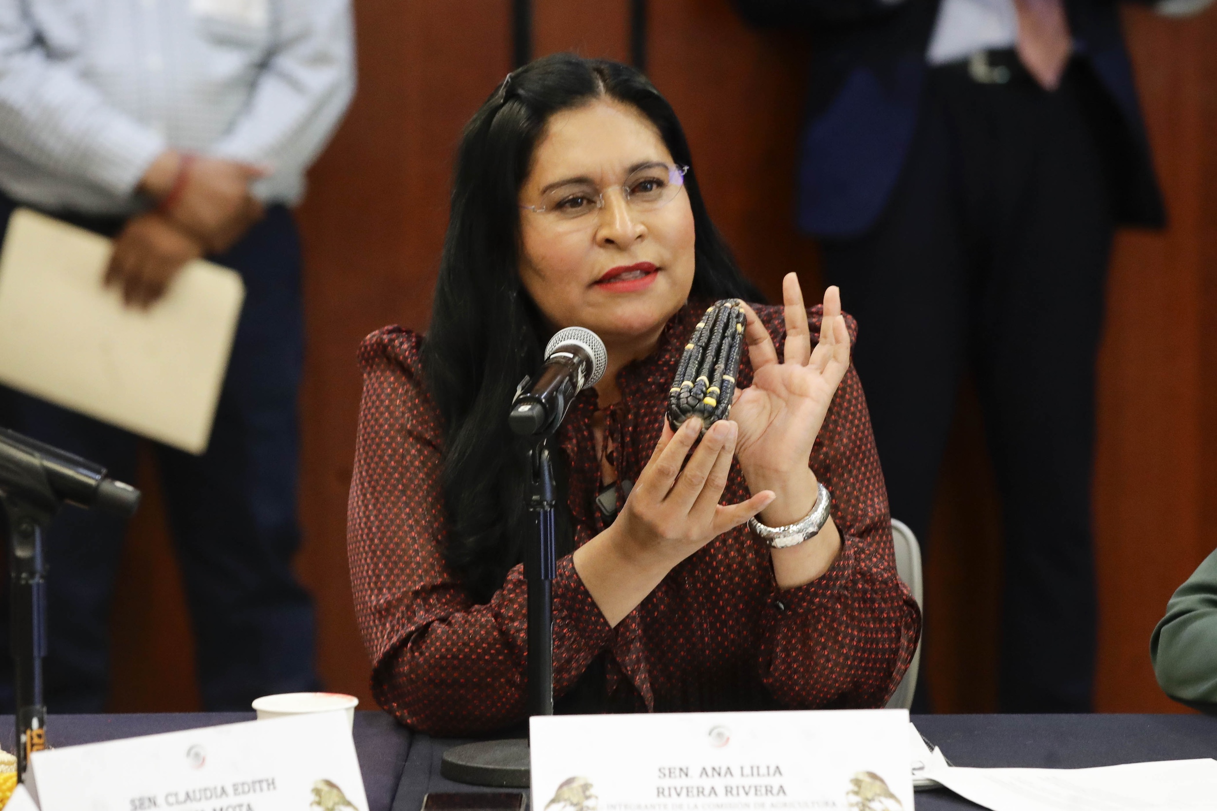 Com Unidas Pts Const Agricultura y Est Leg Prim -