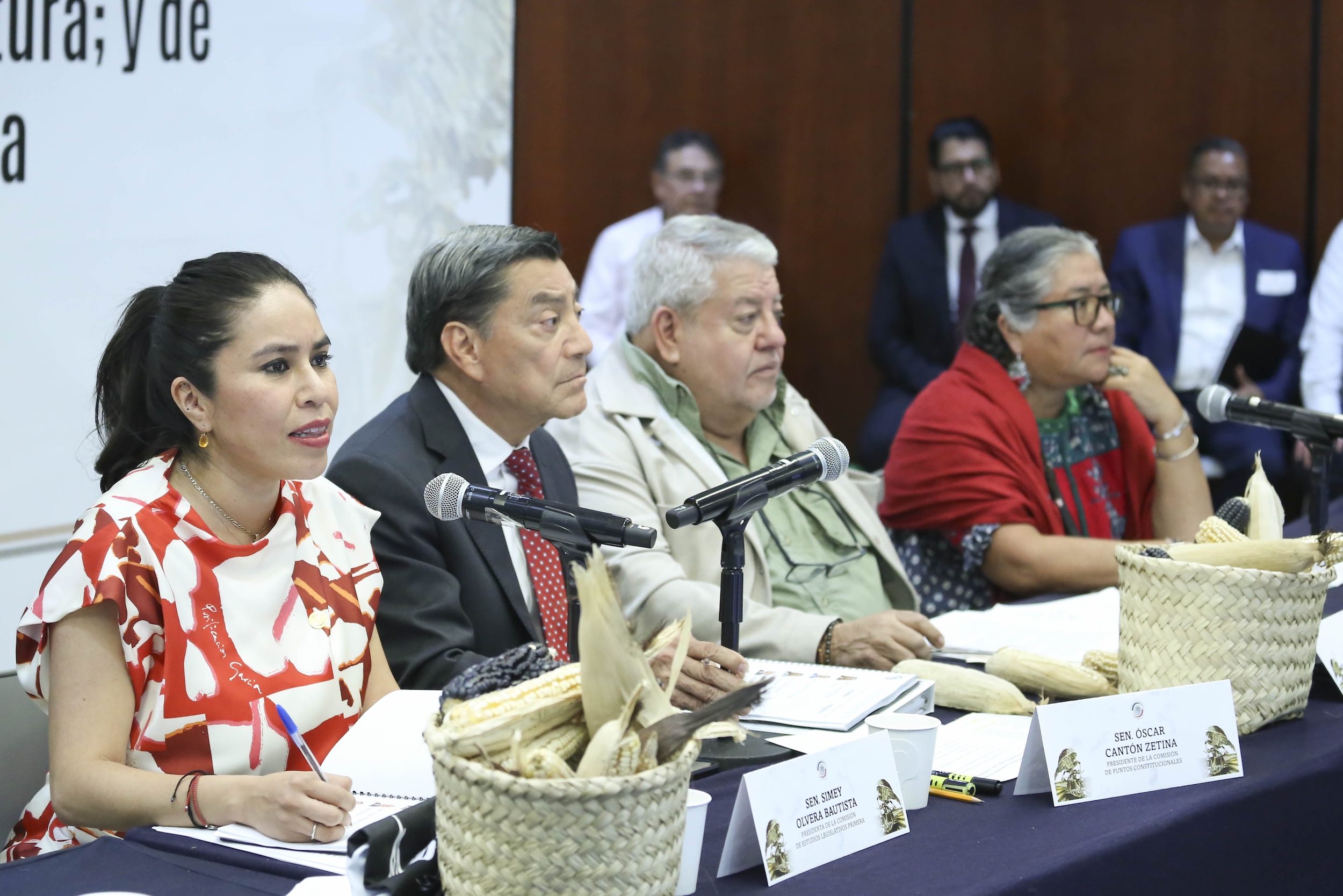 Com Unidas Pts Const Agricultura y Est Leg Prim -
