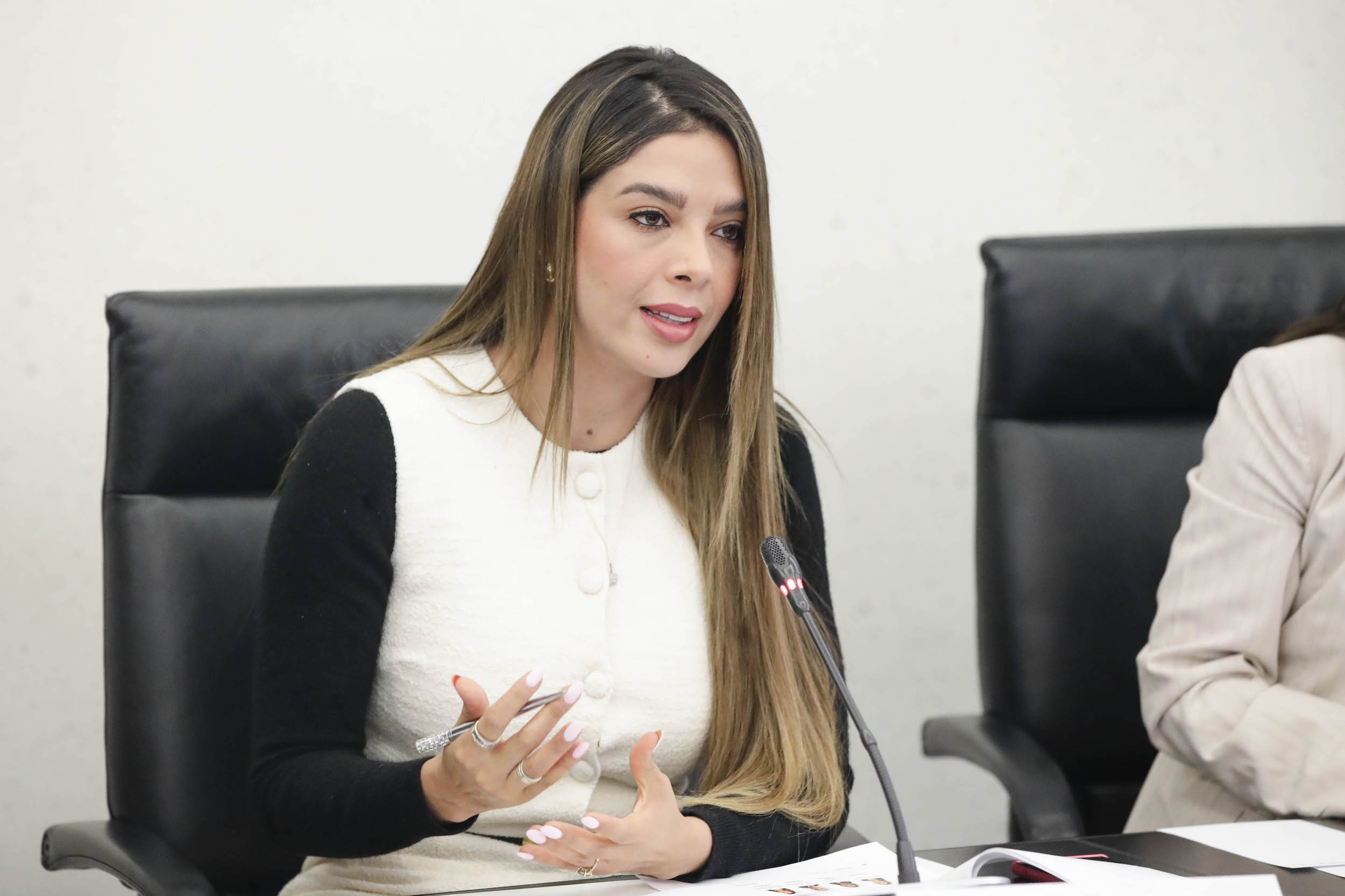 Com Rel Ext America del Norte-
