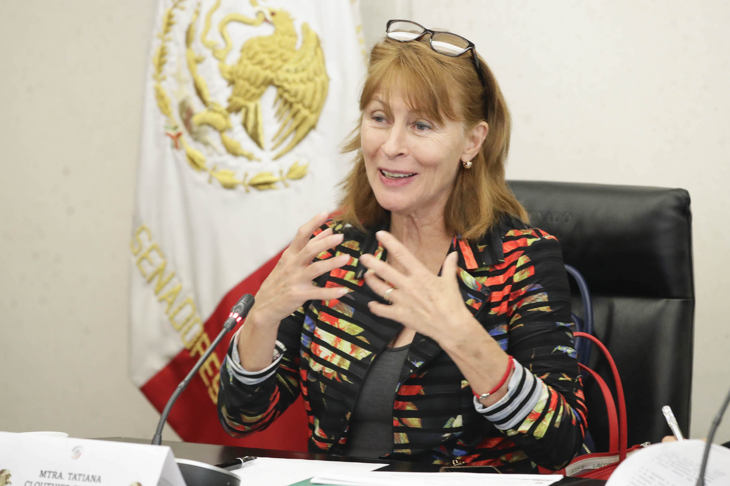 Com Rel Ext America del Norte-