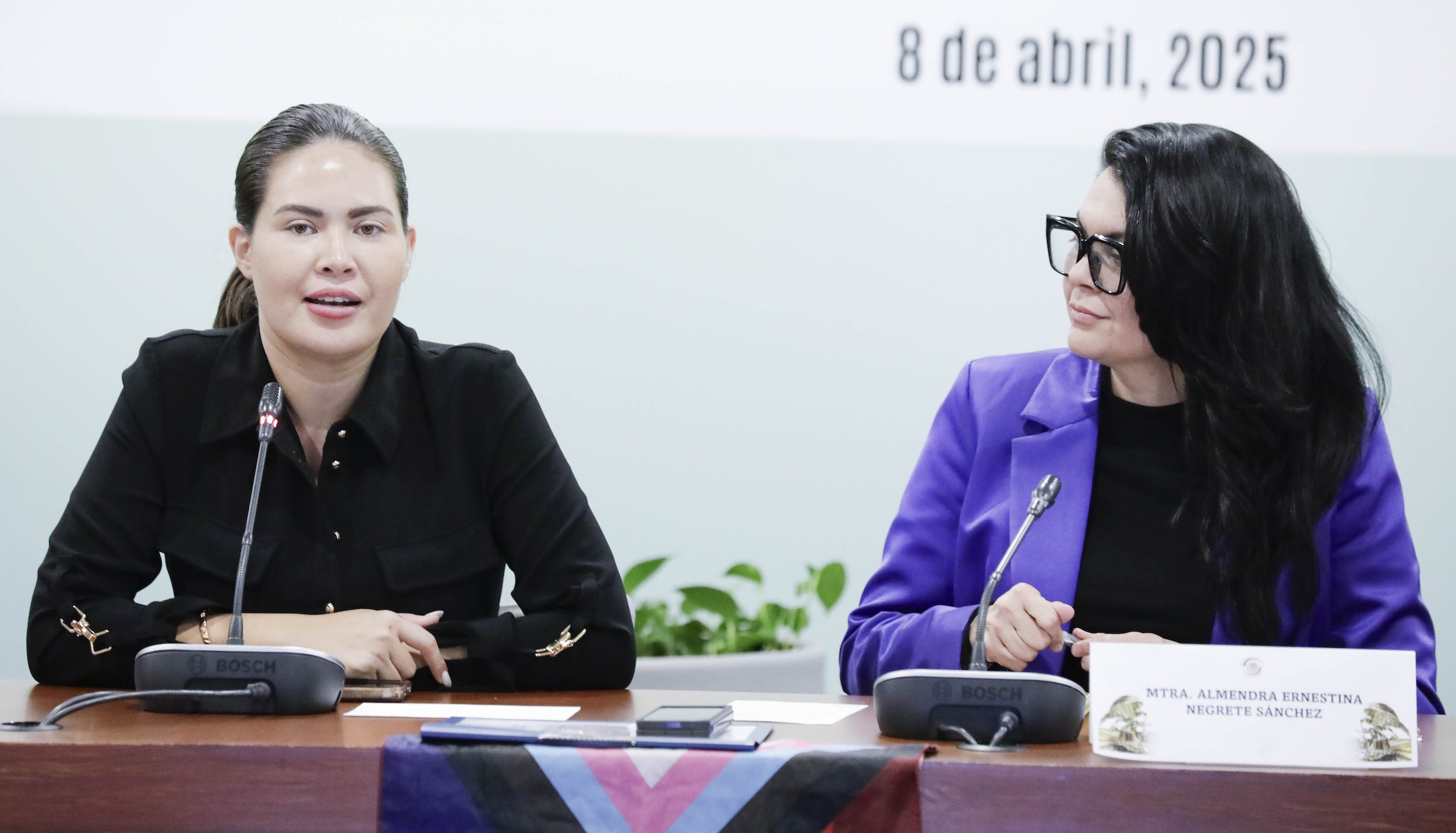 Igualdad Sustantiva y Mujeres en la diversidad-