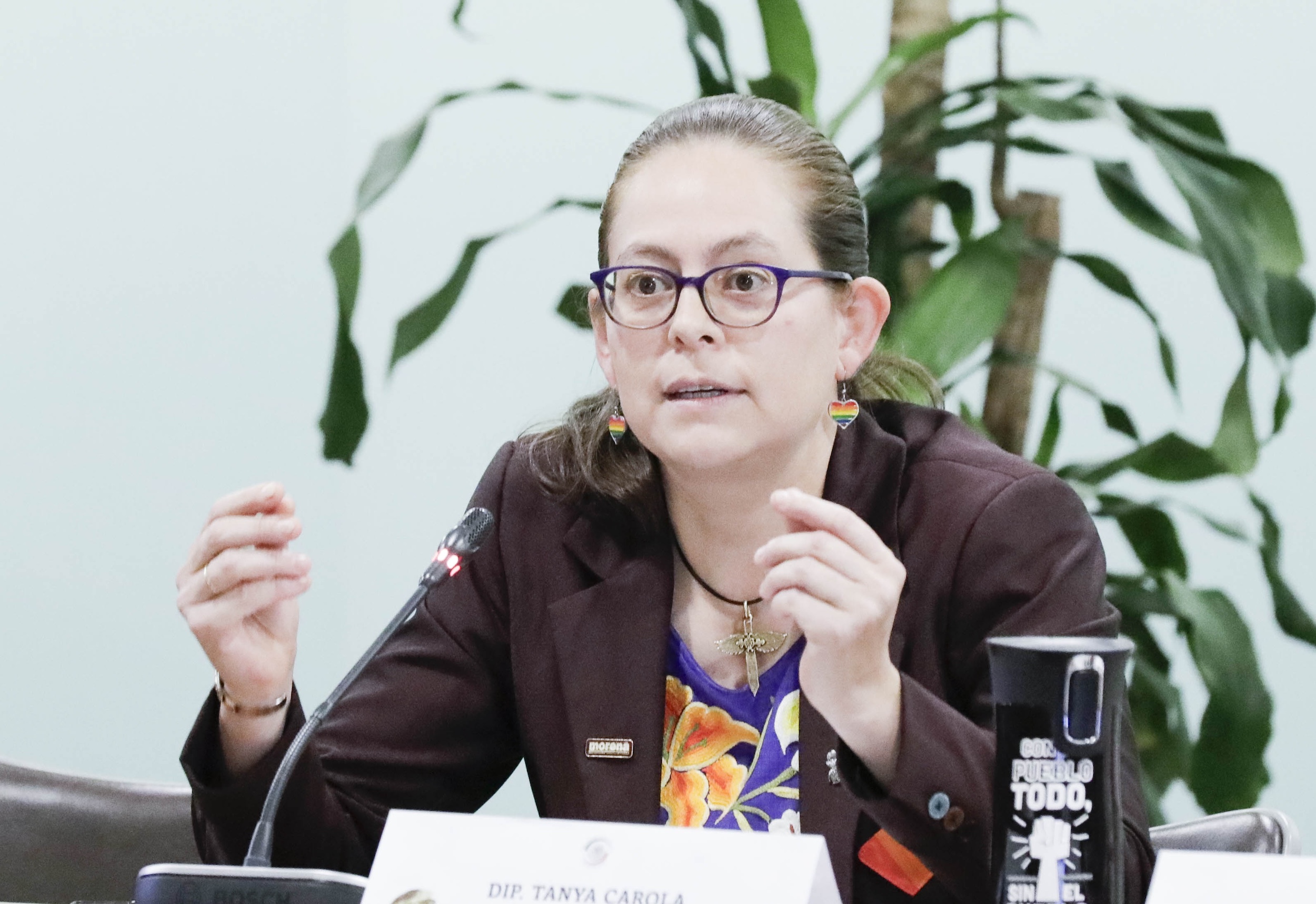 Igualdad Sustantiva y Mujeres en la diversidad-