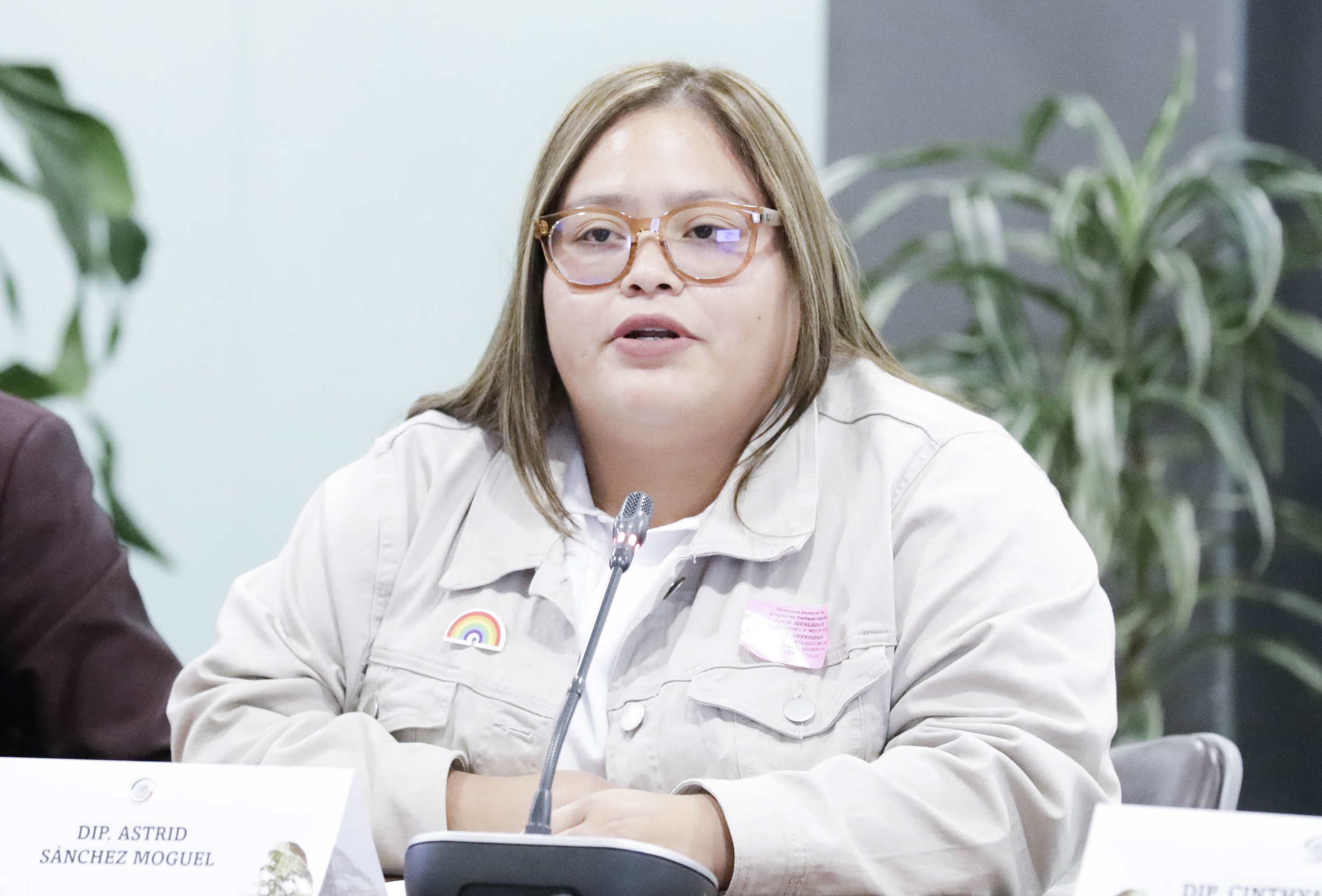 Igualdad Sustantiva y Mujeres en la diversidad-