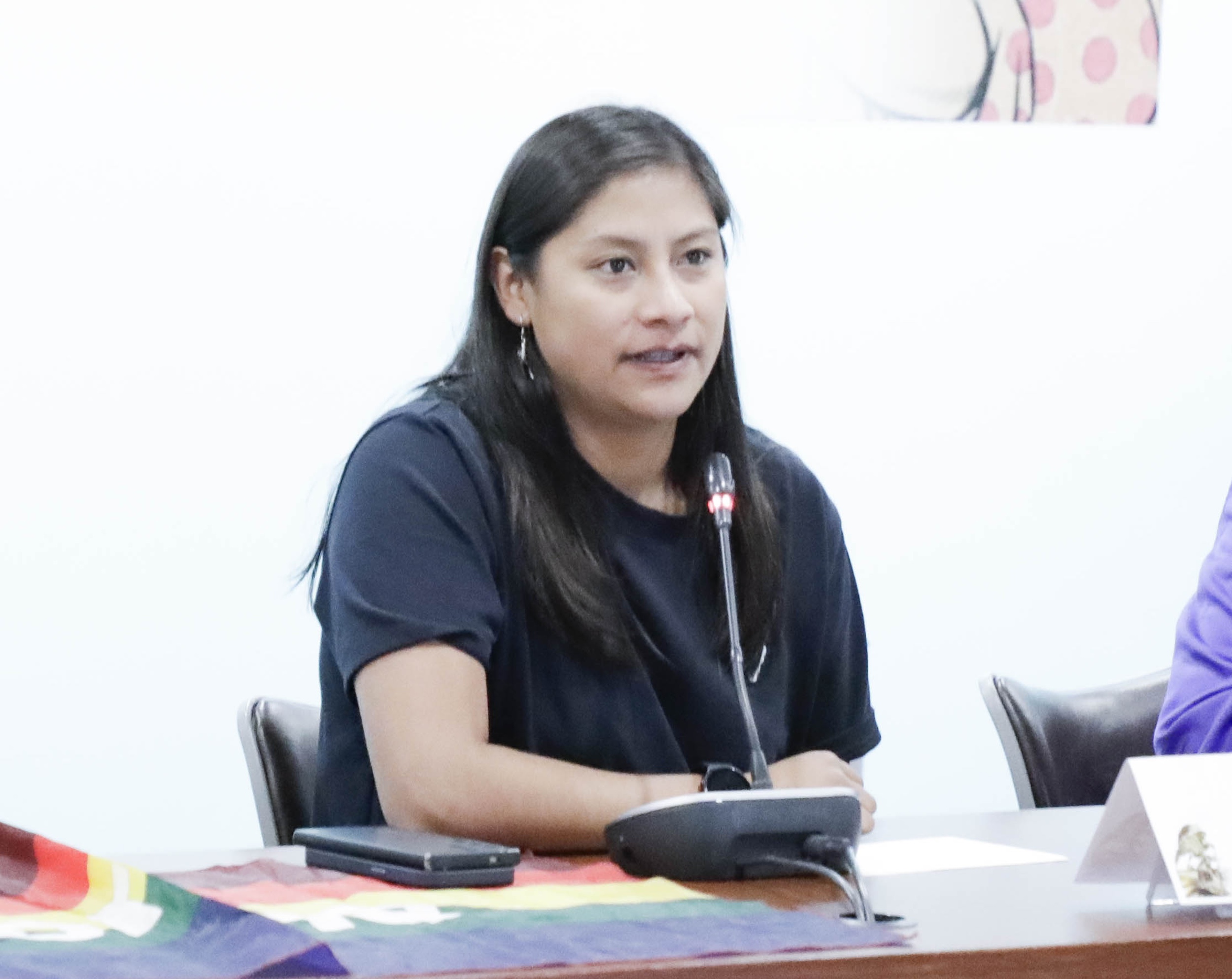Igualdad Sustantiva y Mujeres en la diversidad-