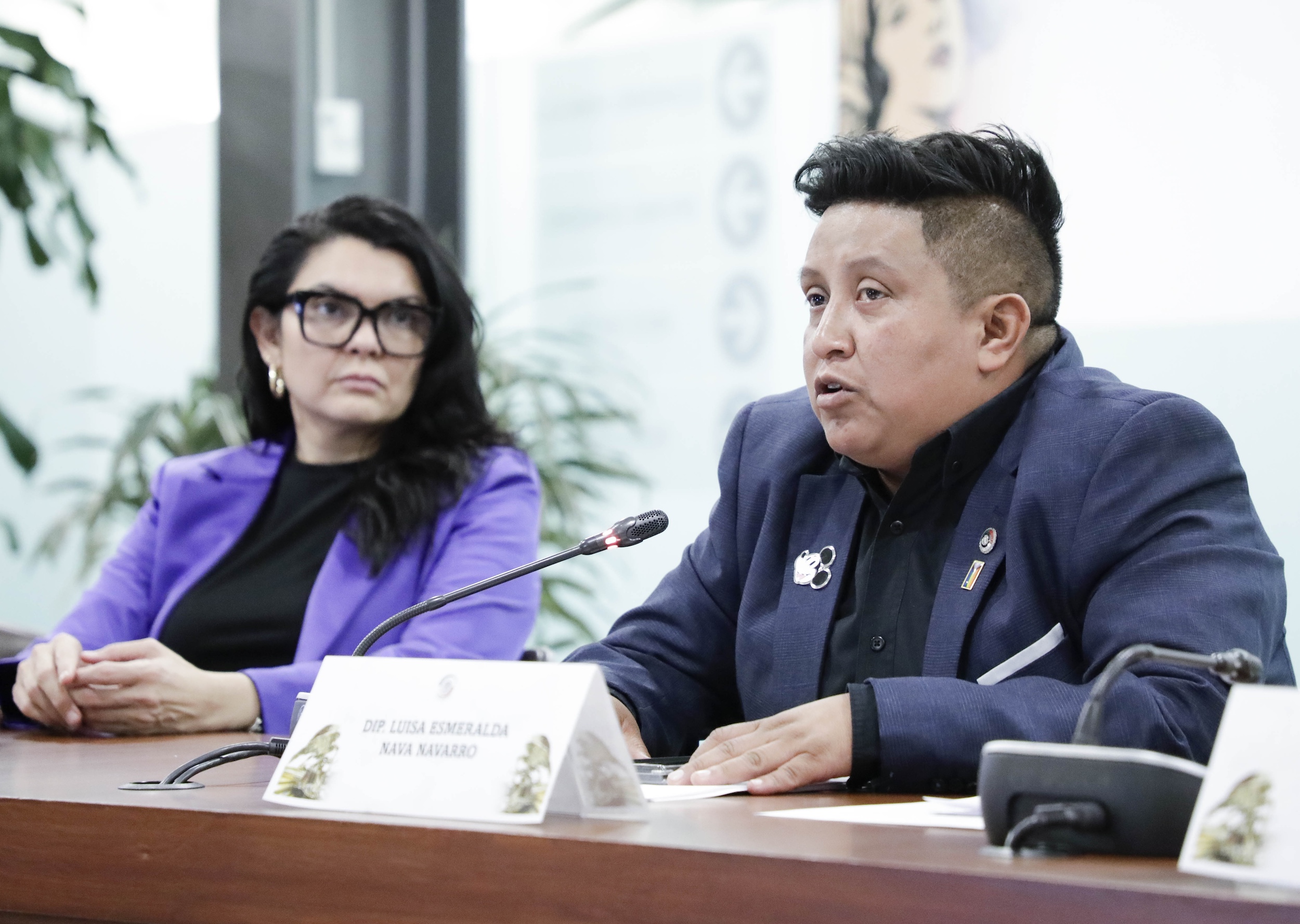 Igualdad Sustantiva y Mujeres en la diversidad-