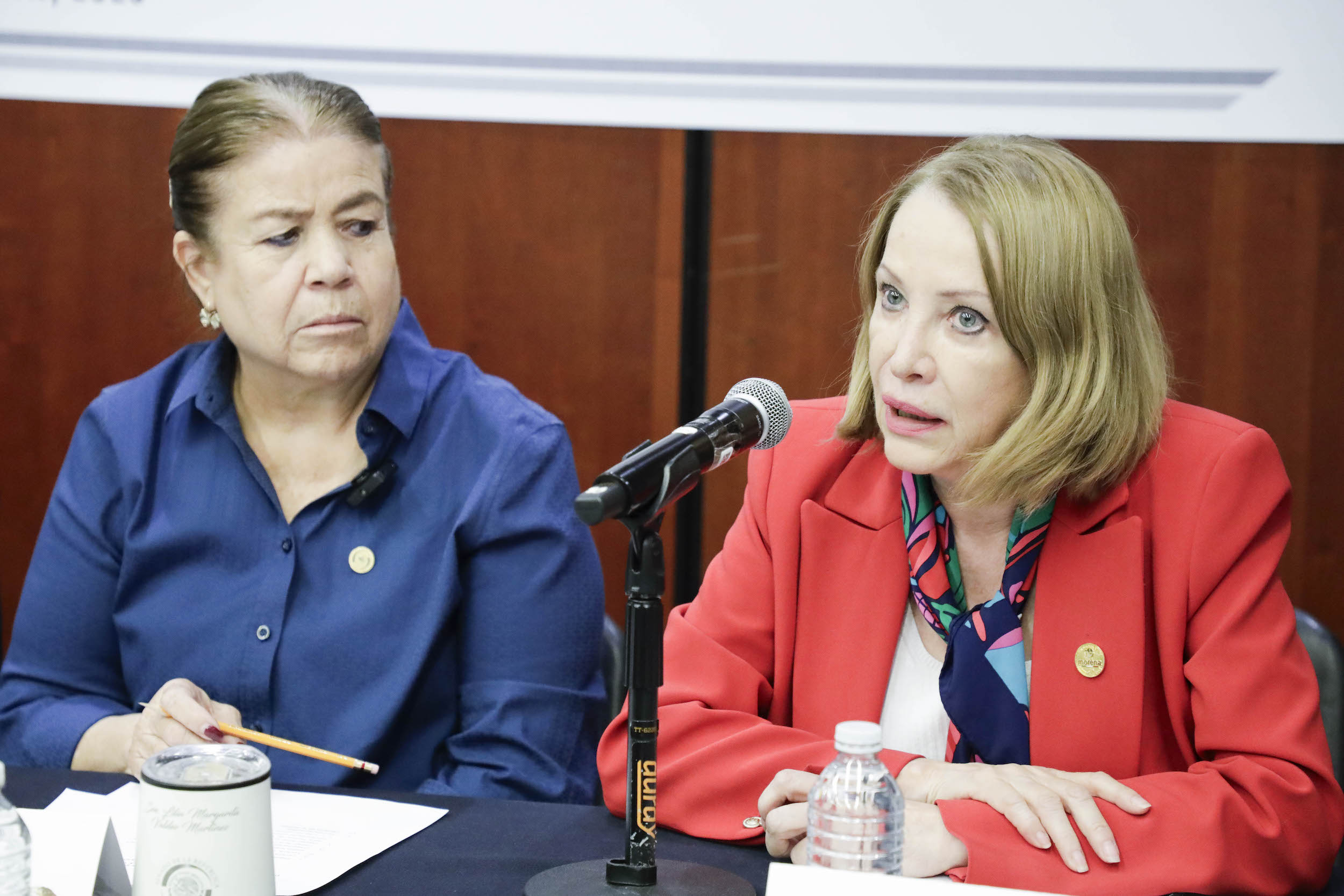 Comision Especial para Revisar la quiebra de Altos Hornos Mexico-