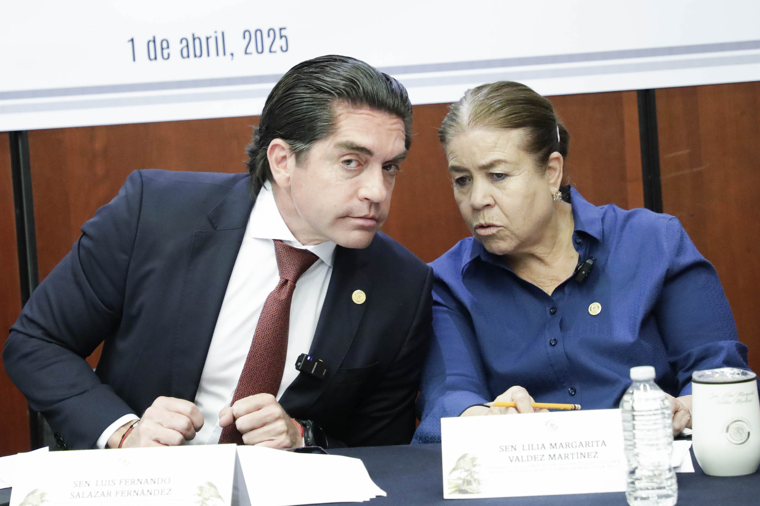 Comision Especial para Revisar la quiebra de Altos Hornos Mexico-