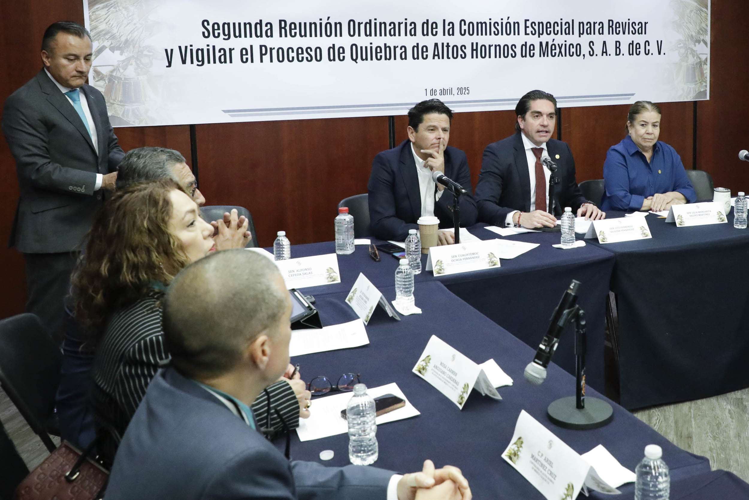Comision Especial para Revisar la quiebra de Altos Hornos Mexico-