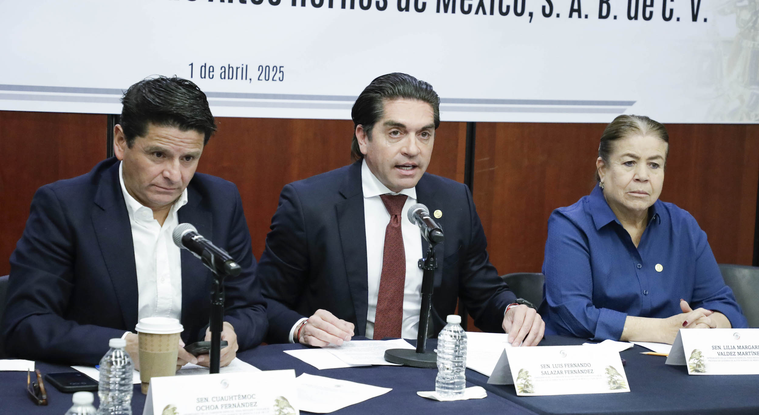 Comision Especial para Revisar la quiebra de Altos Hornos Mexico-