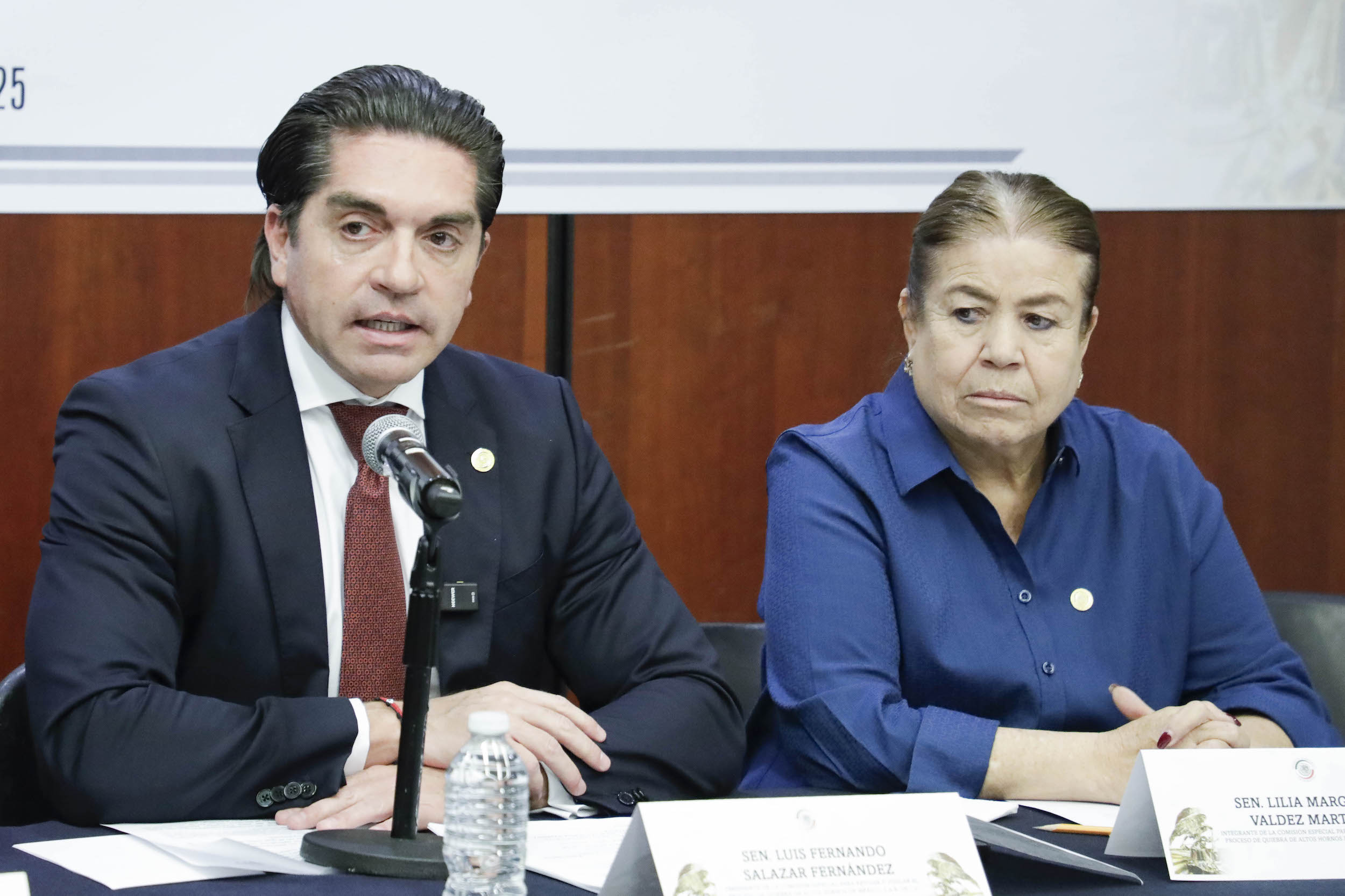 Comision Especial para Revisar la quiebra de Altos Hornos Mexico-