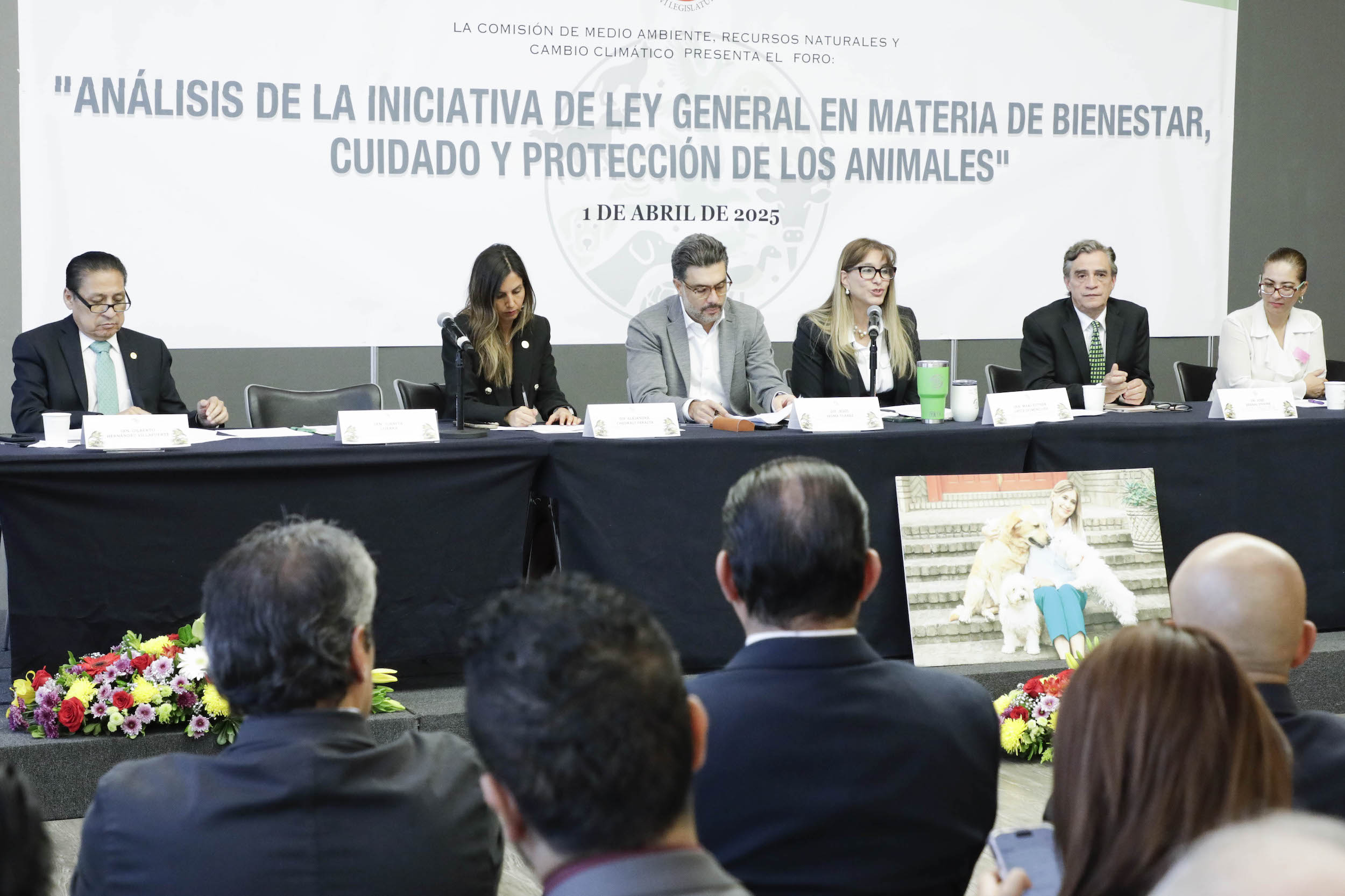 Foro En Materia de BienestarCuidado Y Proteccion de los Animales-