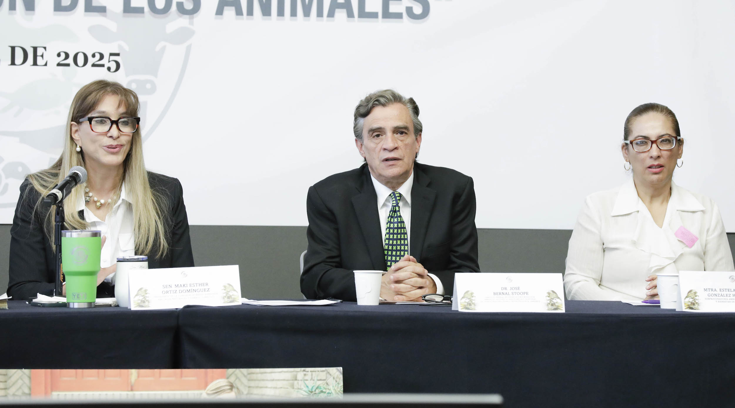 Foro En Materia de BienestarCuidado Y Proteccion de los Animales-