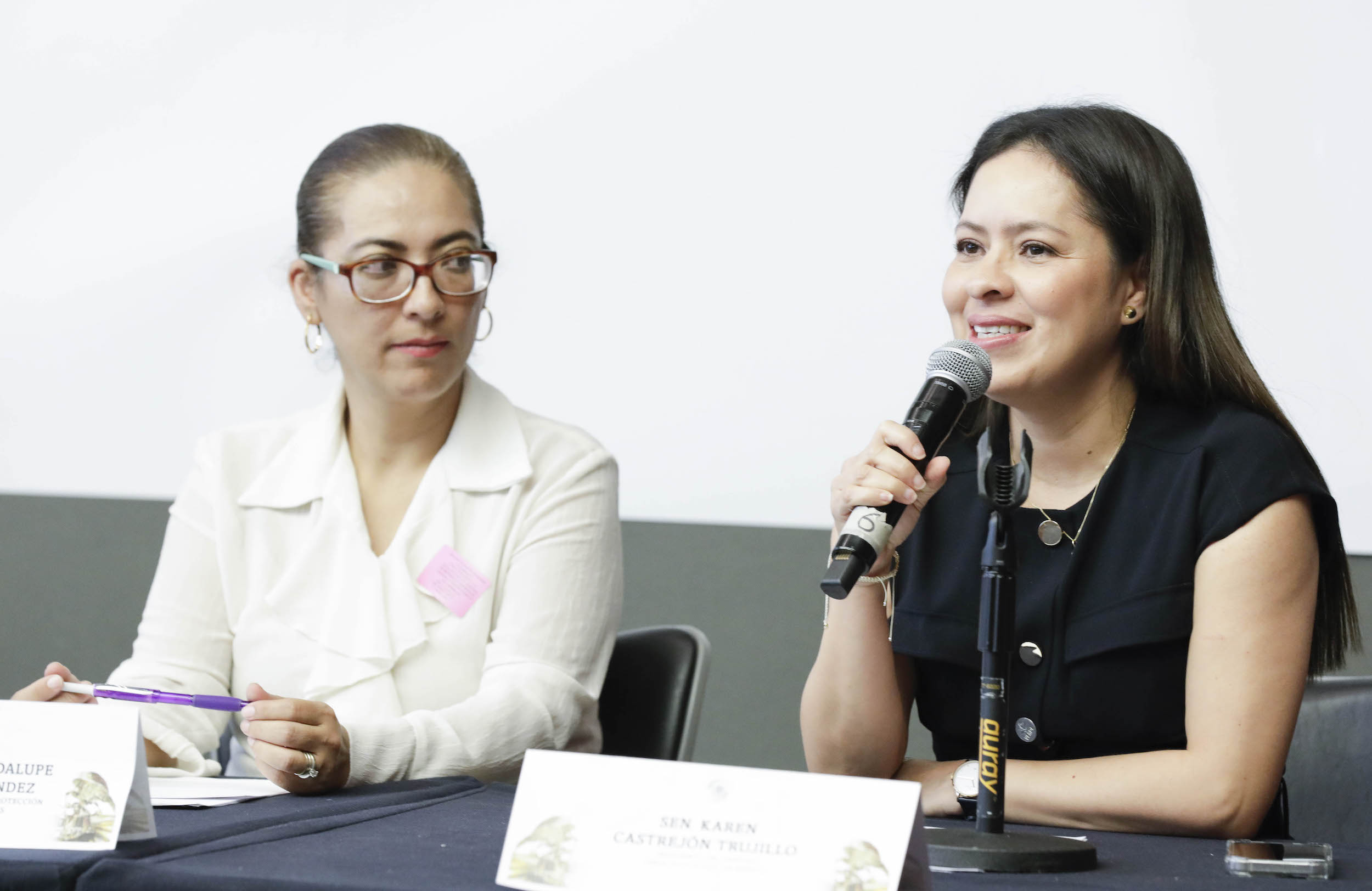 Foro En Materia de BienestarCuidado Y Proteccion de los Animales-