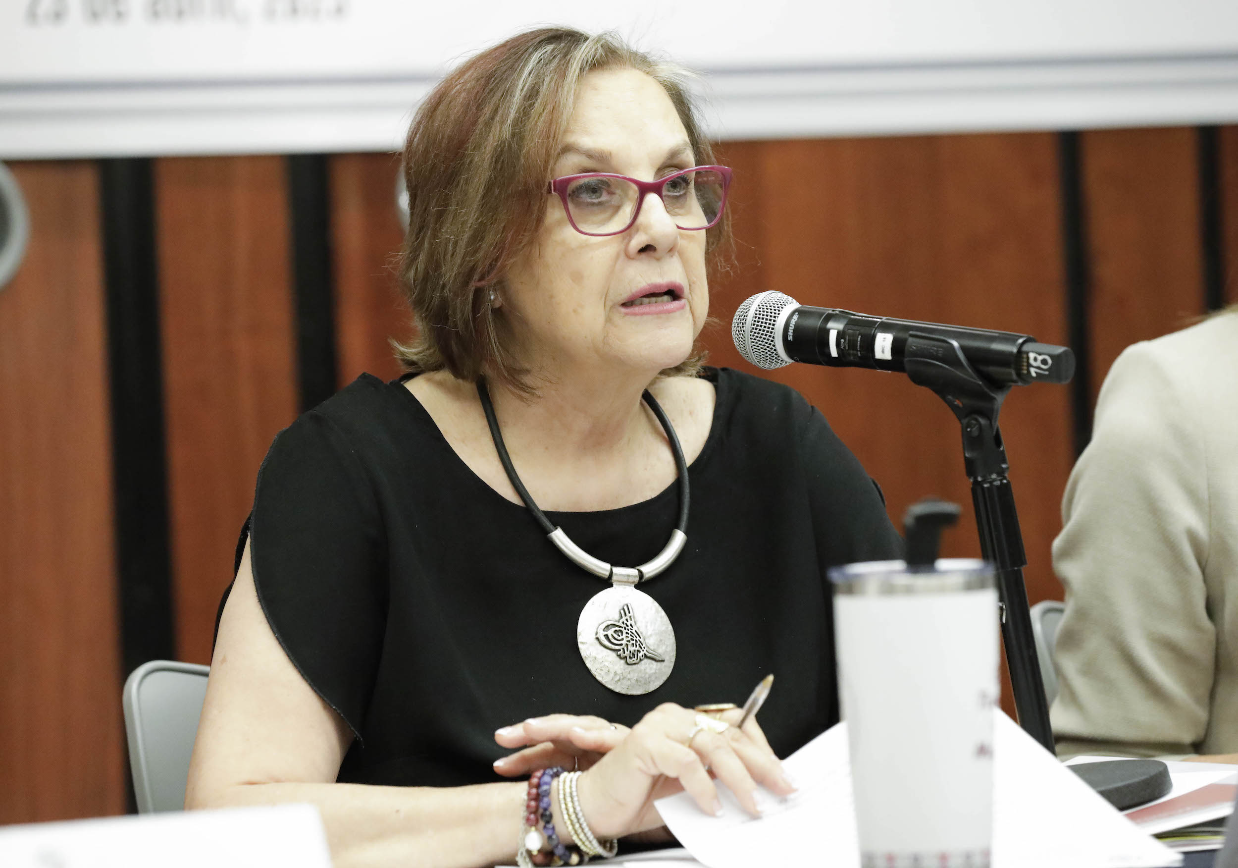 Reunioin de la Comisioin para la Igualdad de Geinero-