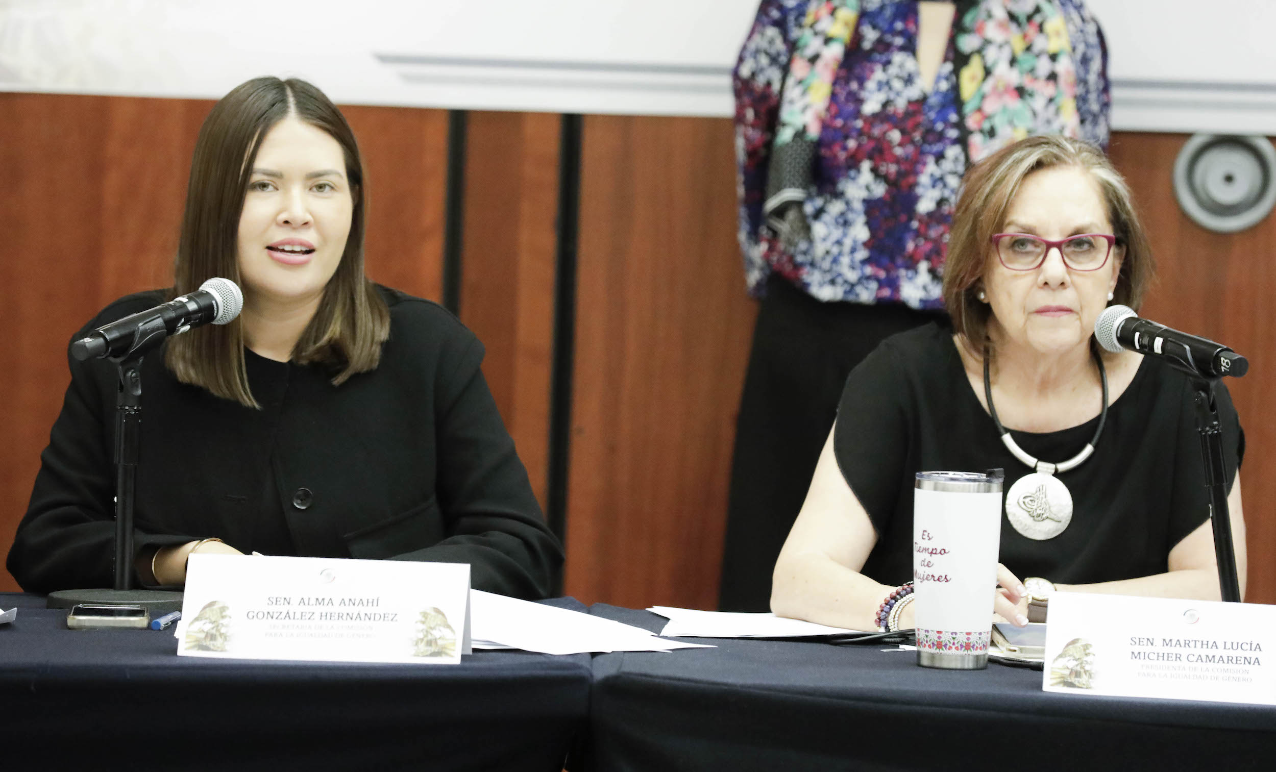 Reunioin de la Comisioin para la Igualdad de Geinero-