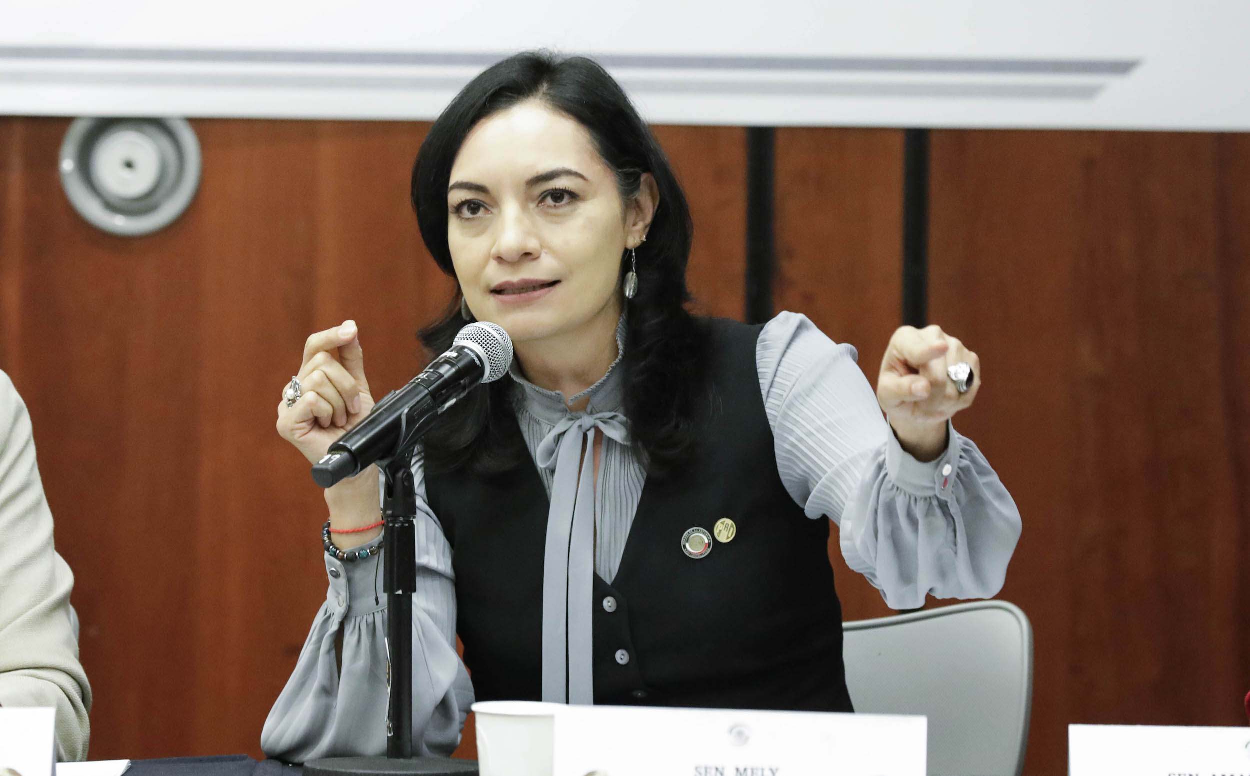 Reunioin de la Comisioin para la Igualdad de Geinero-