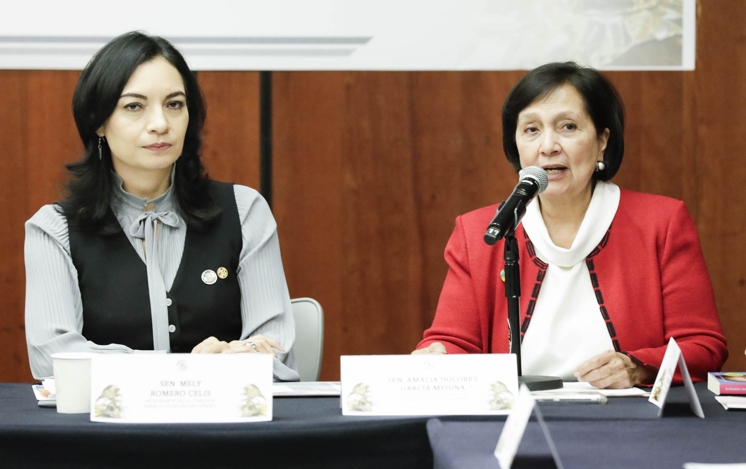 Reunioin de la Comisioin para la Igualdad de Geinero-