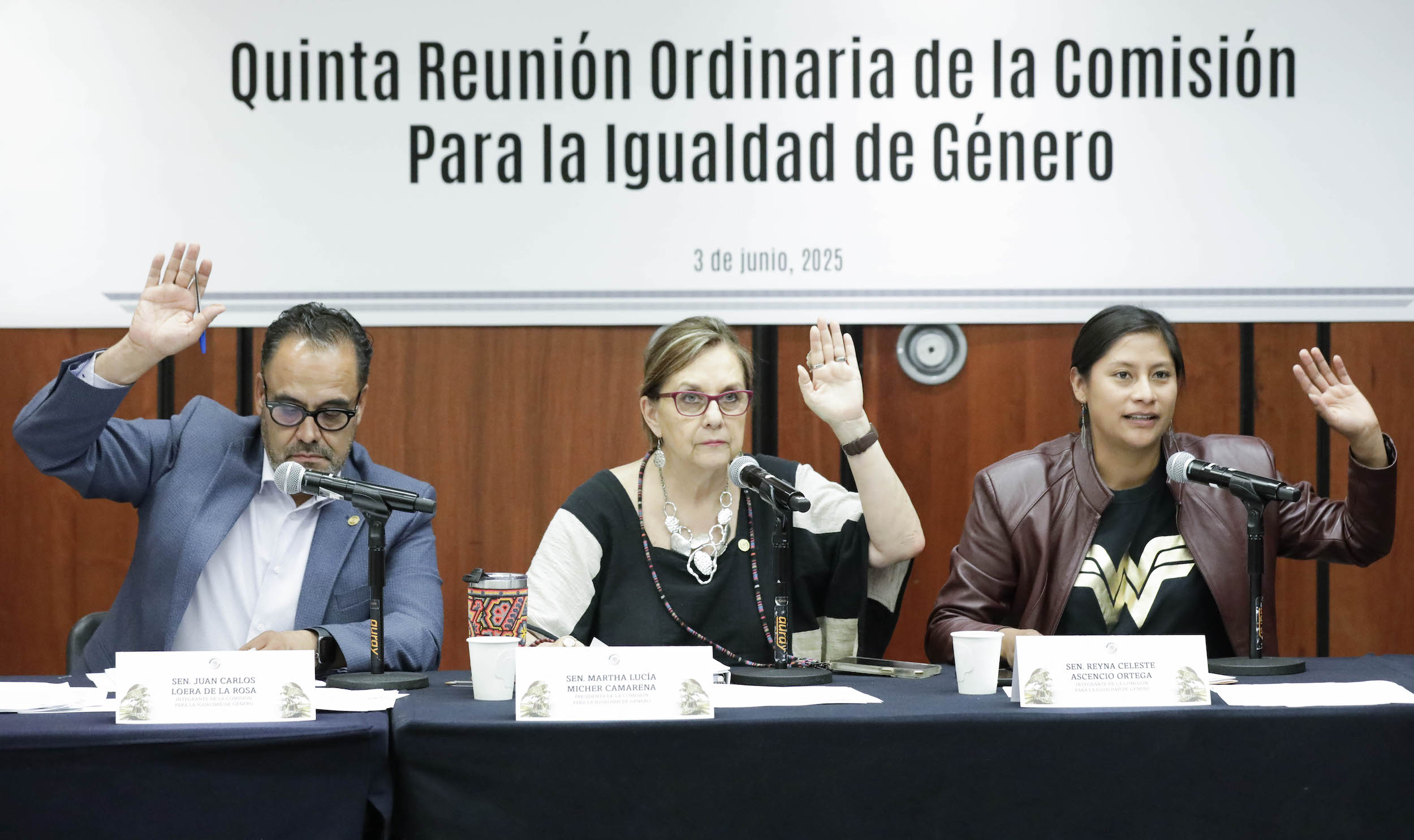 Reunión de la Comisión para la Igualdad de Género
