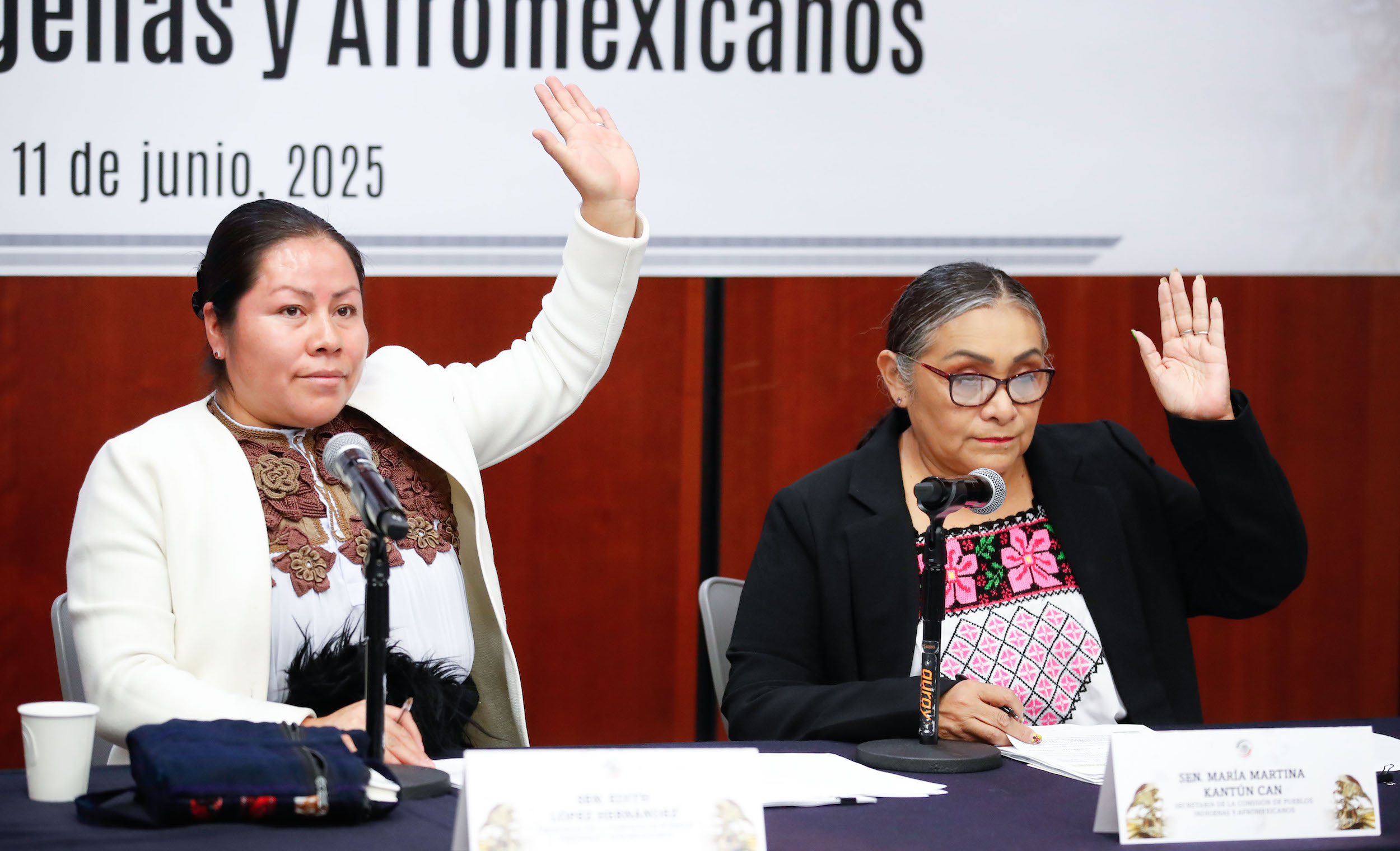 Reunión ordinaria de la Comisión de Pueblos Indígenas y Afromexicanos