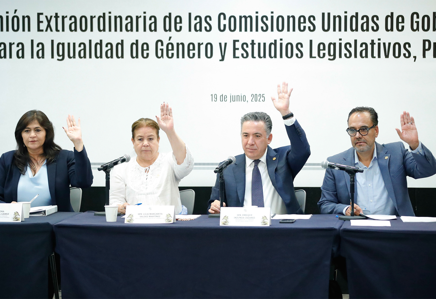 Reunión Extraordinaria de las comisiones unidas de Gobernación, Para la Igualdad de Género, y Estudios Legislativos, Primera