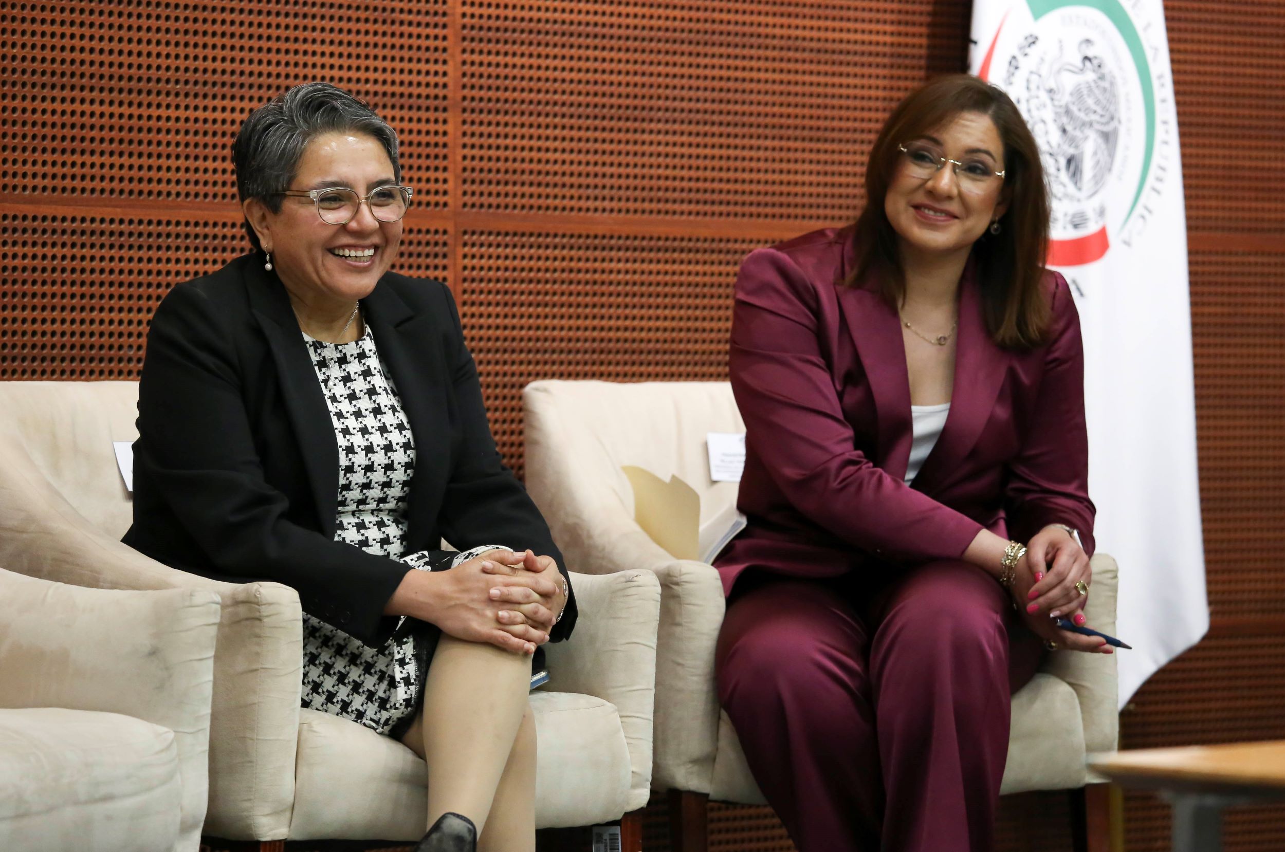 Informe Comite de Participacion Ciudadana SNA-