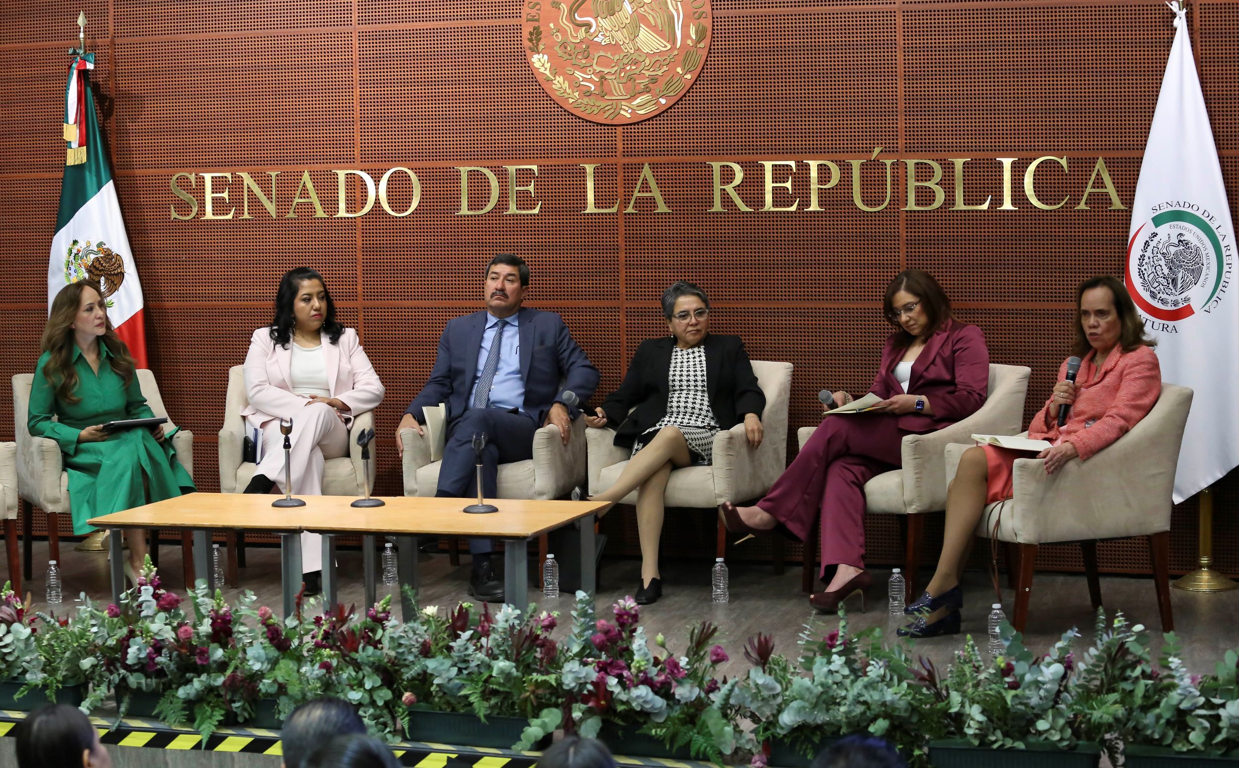 Informe Comite de Participacion Ciudadana SNA-
