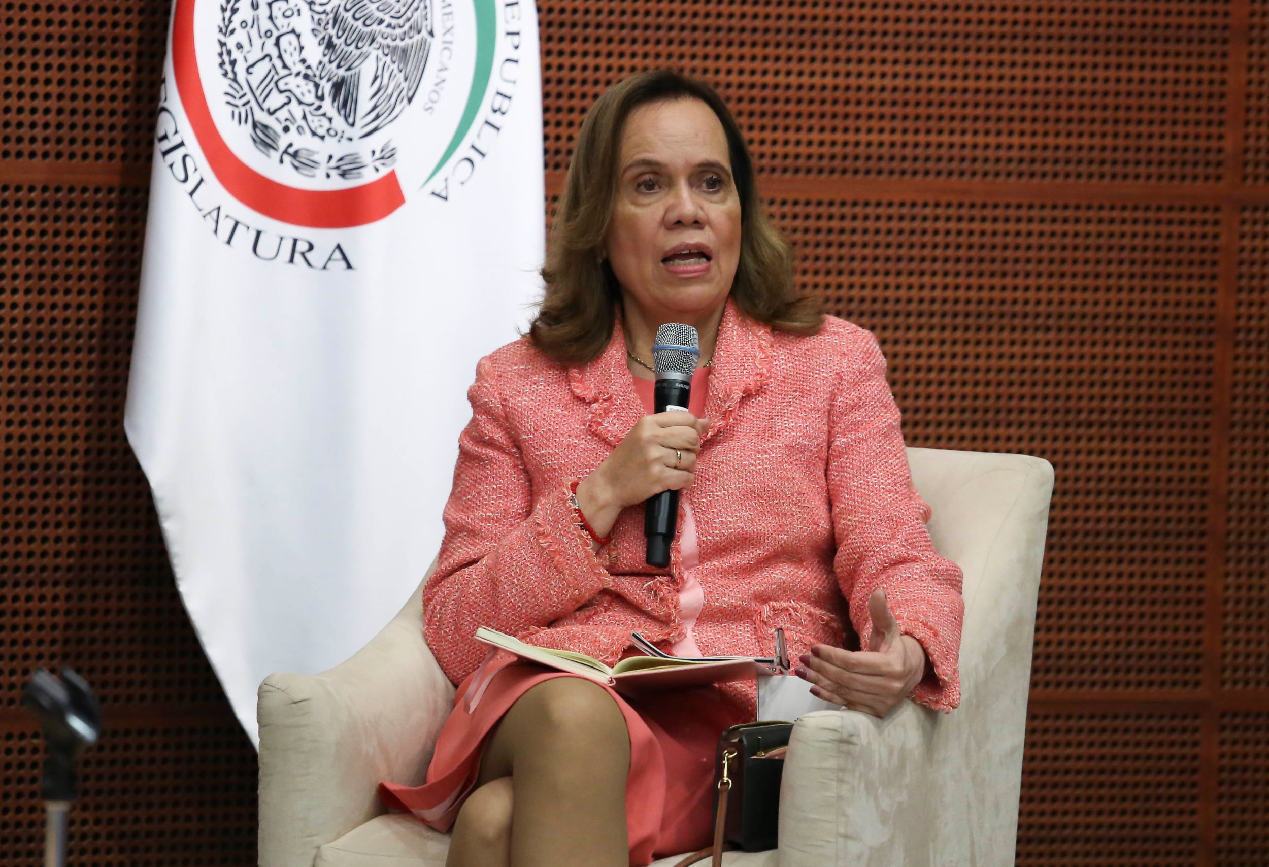 Informe Comite de Participacion Ciudadana SNA-