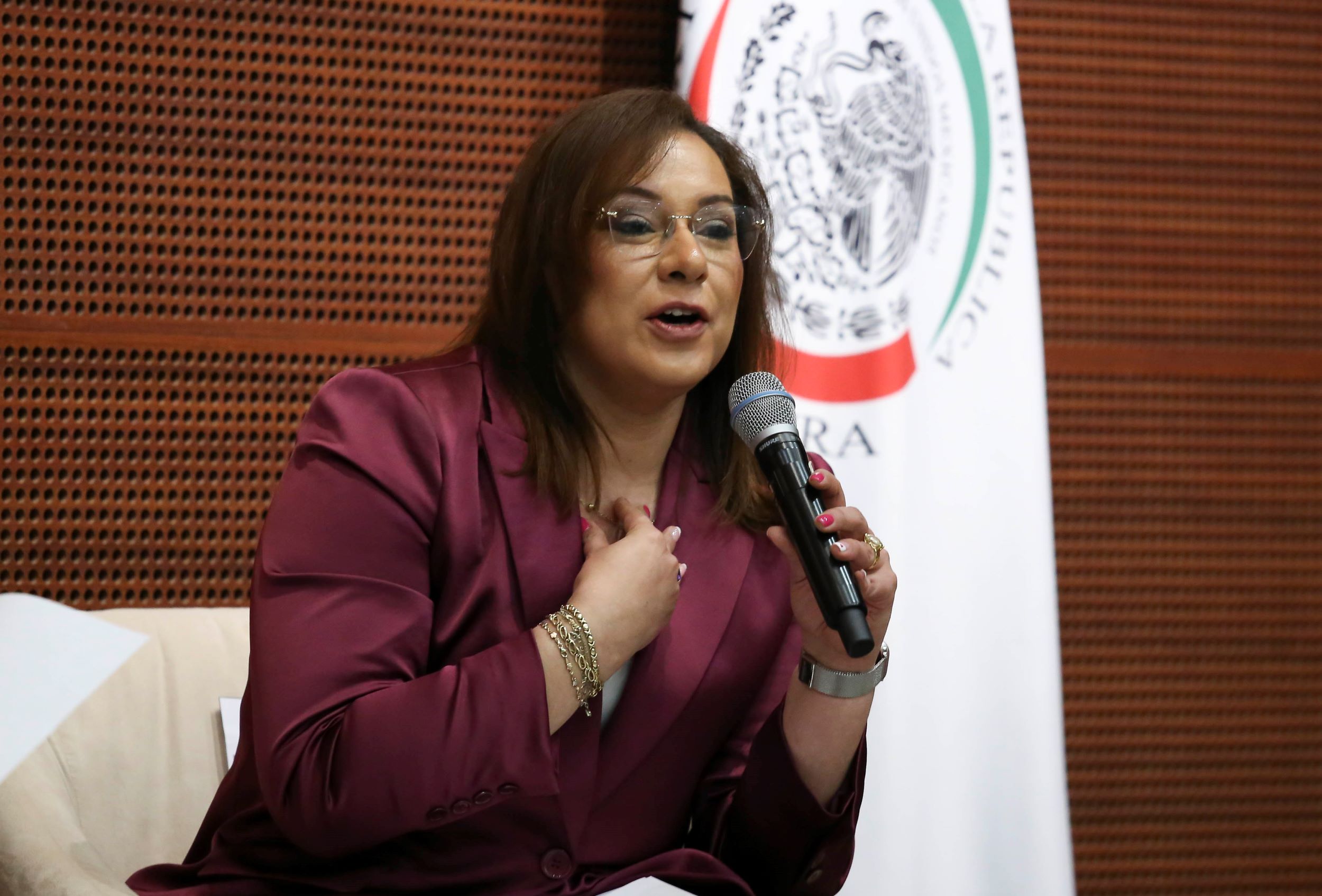 Informe Comite de Participacion Ciudadana SNA-