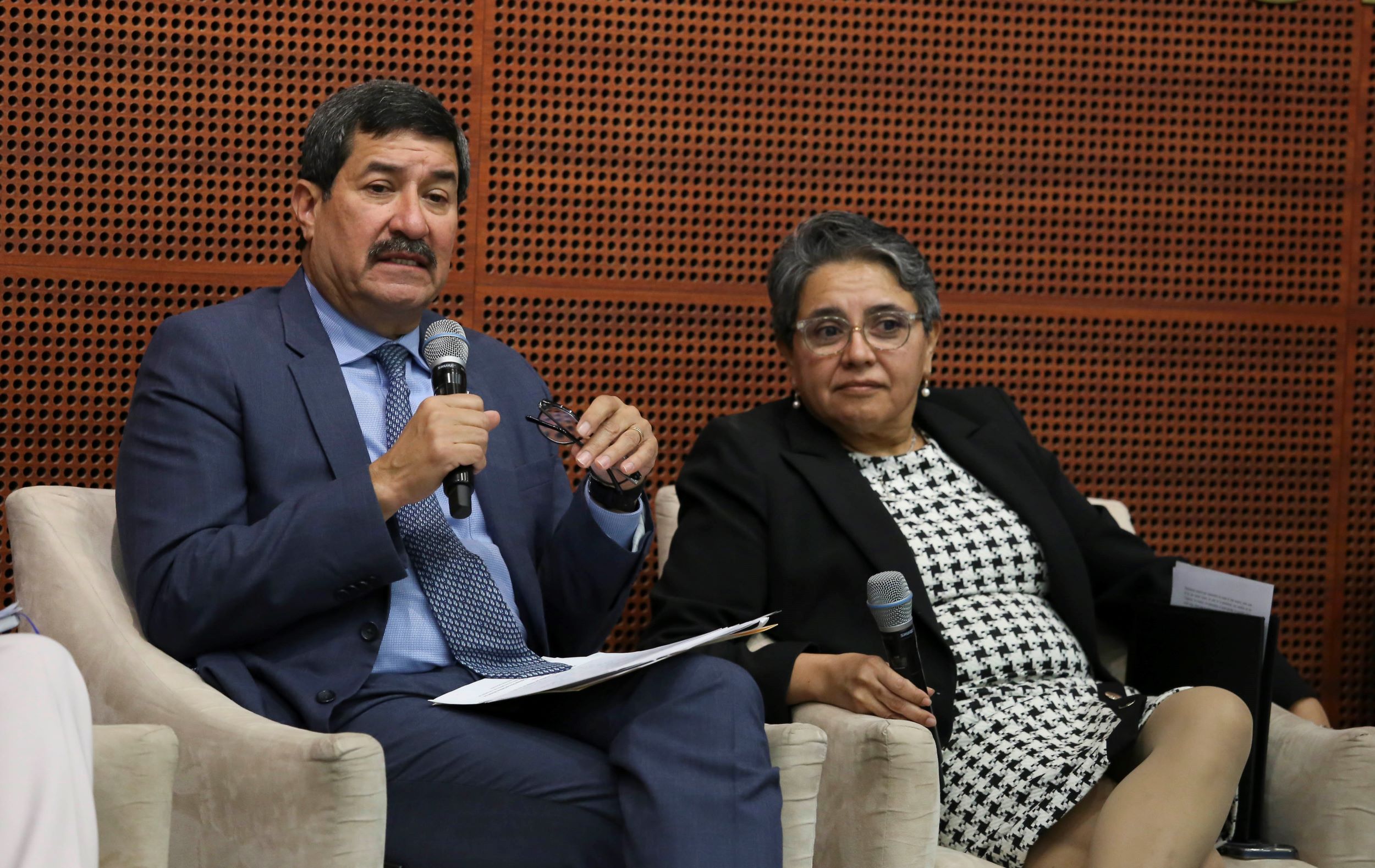 Informe Comite de Participacion Ciudadana SNA-