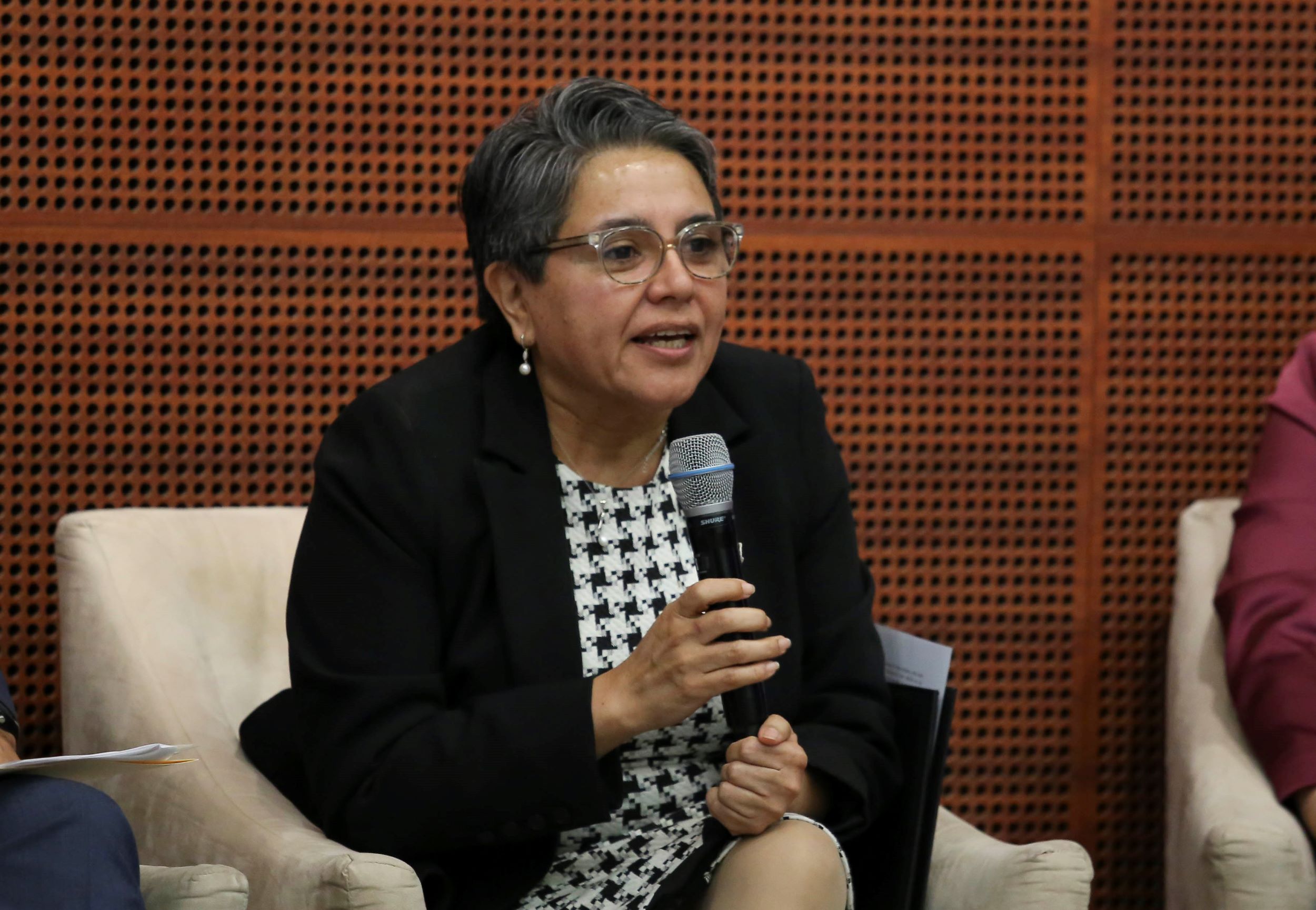 Informe Comite de Participacion Ciudadana SNA-