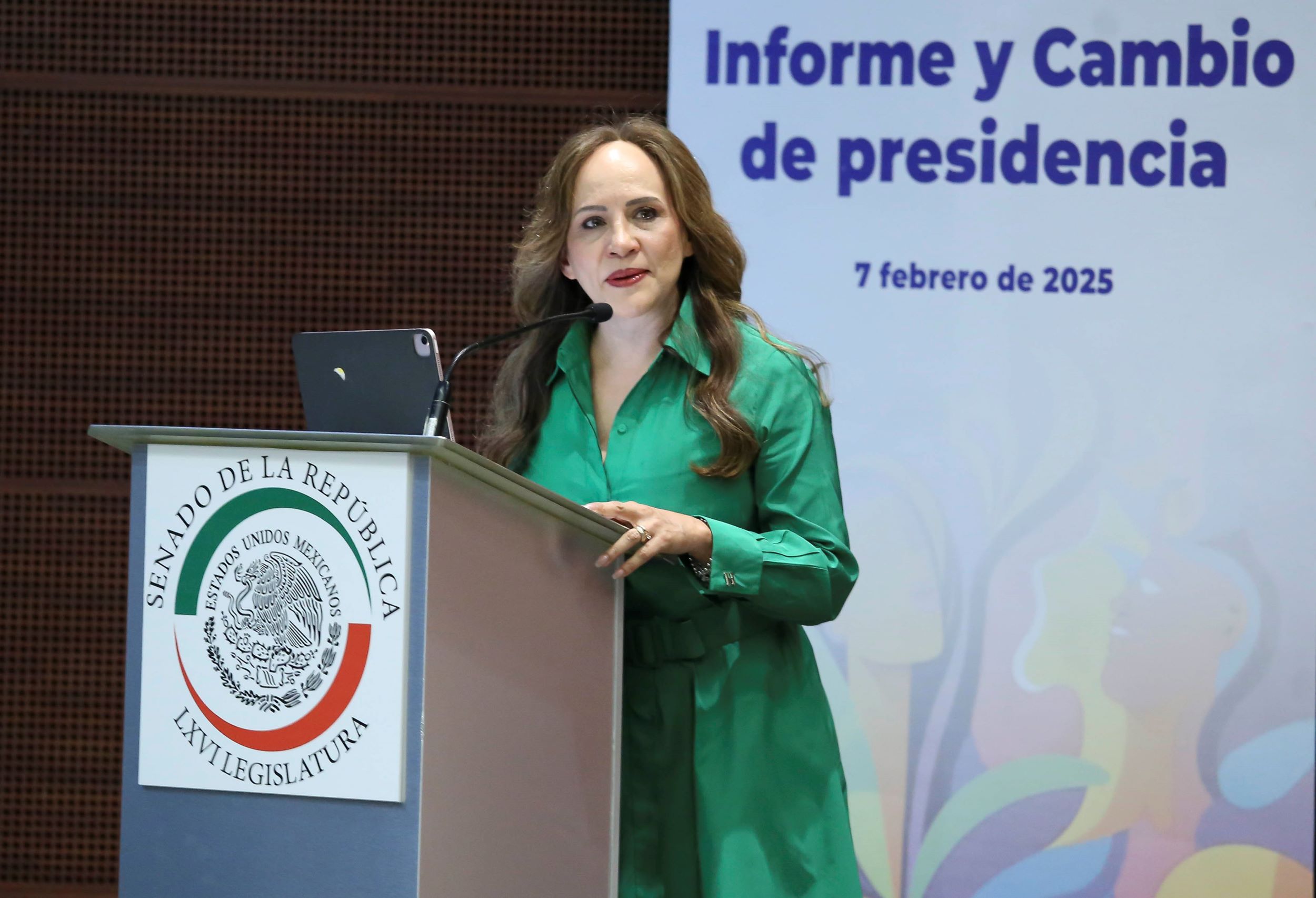 Informe Comite de Participacion Ciudadana SNA-