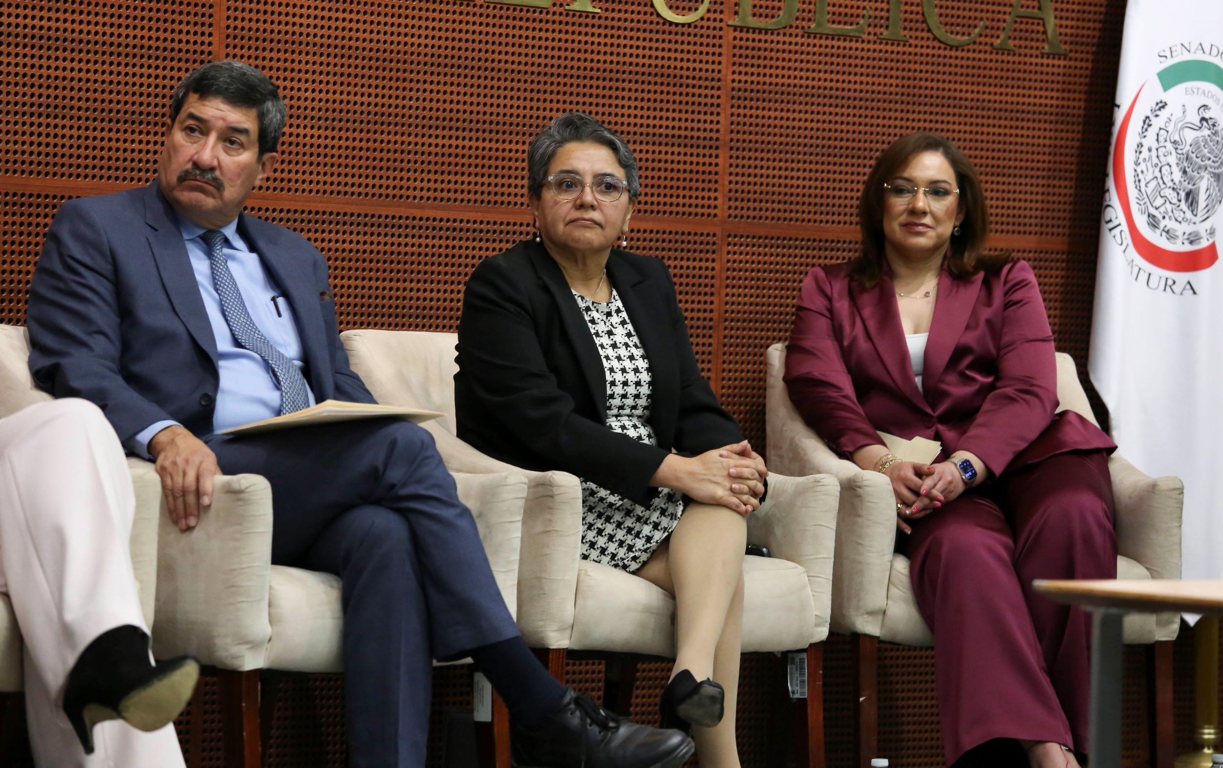 Informe Comite de Participacion Ciudadana SNA-