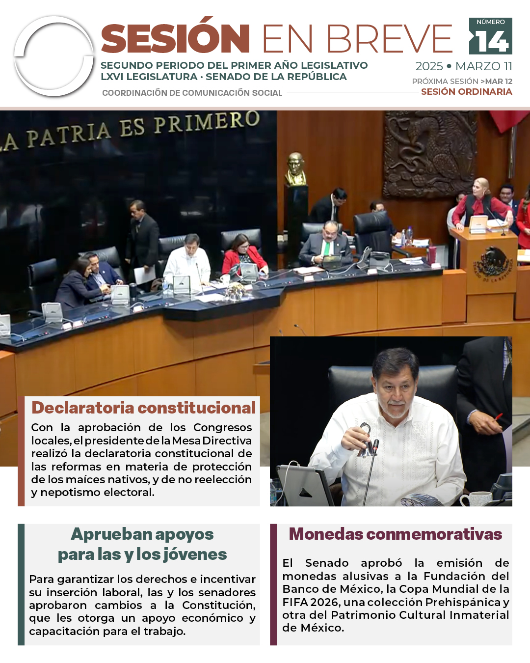 Sesión en breve de la sesión del 11 de marzo de 2025