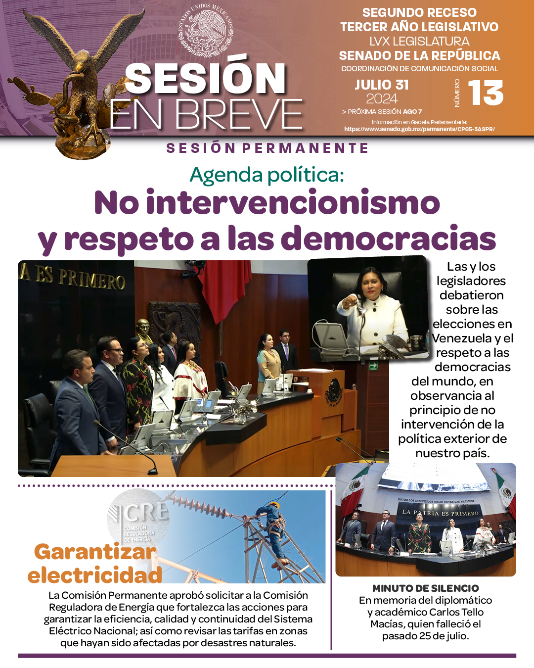 Sesión en breve del 31 de julio de 2024