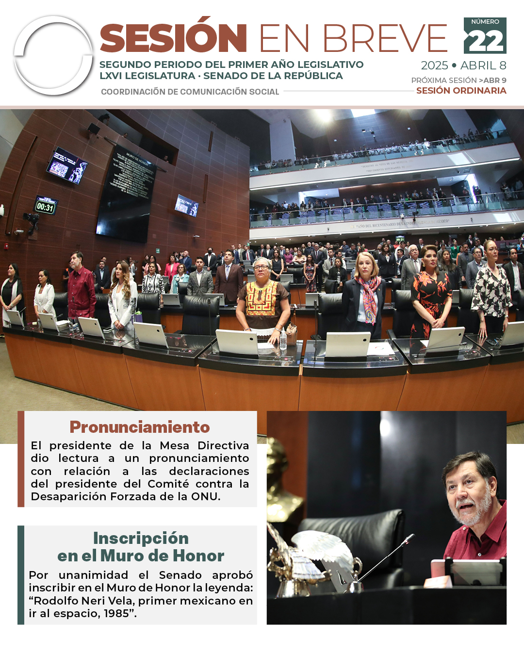Sesión en breve de la sesión del 8 de abril de 2025
