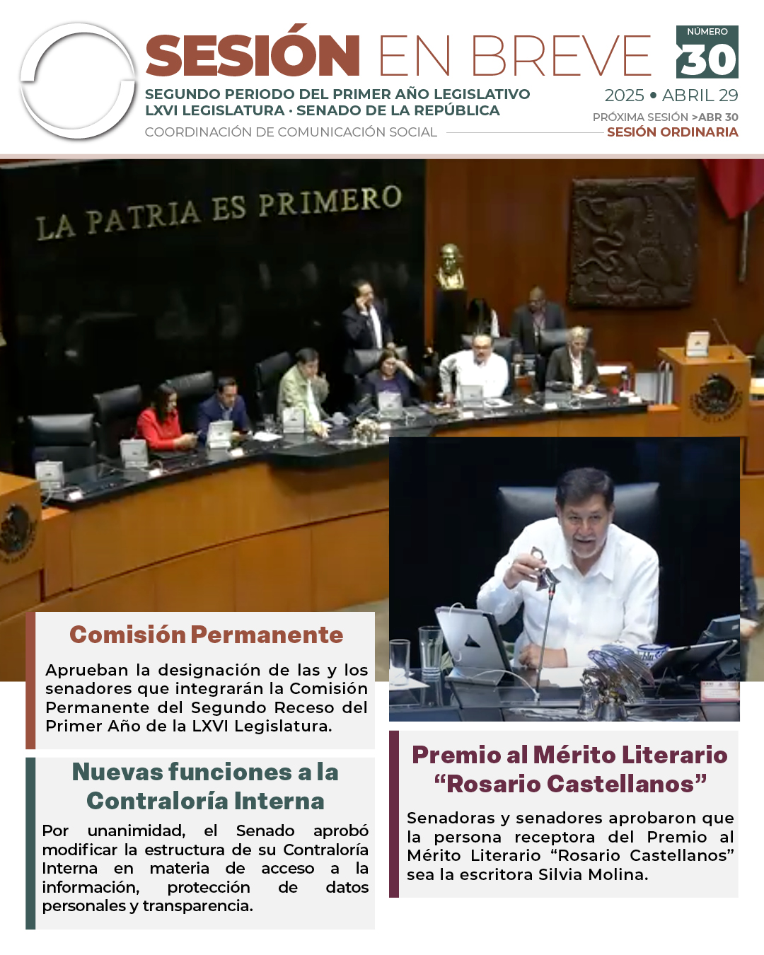 Sesión en breve de la sesión del 29 de abril de 2025