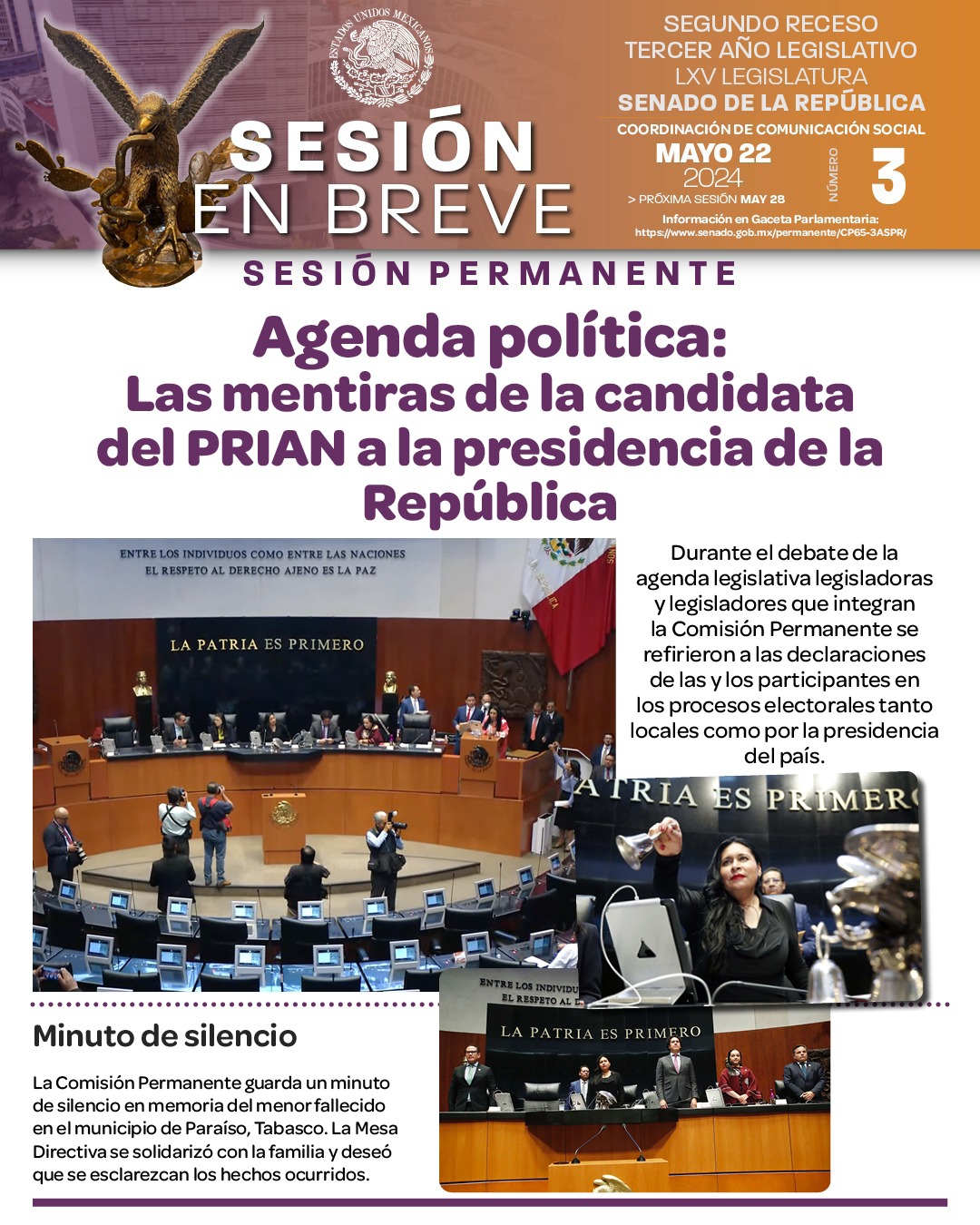 Sesión en breve del 22 de mayo de 2024