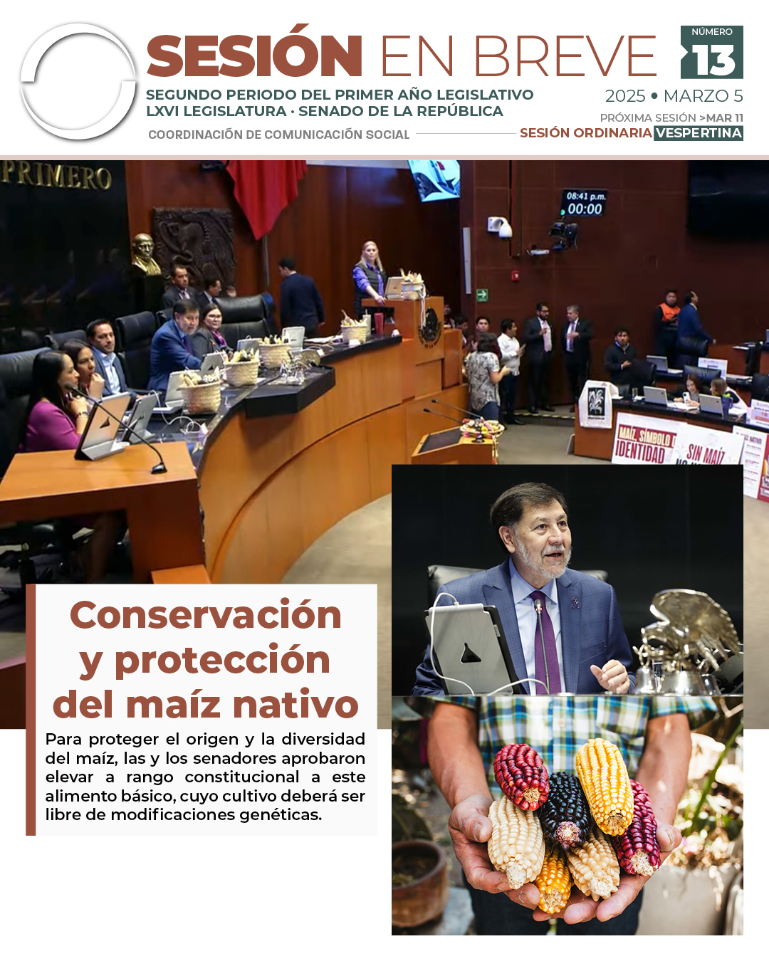Sesión en breve de la sesión vespertina del 4 de marzo de 2025