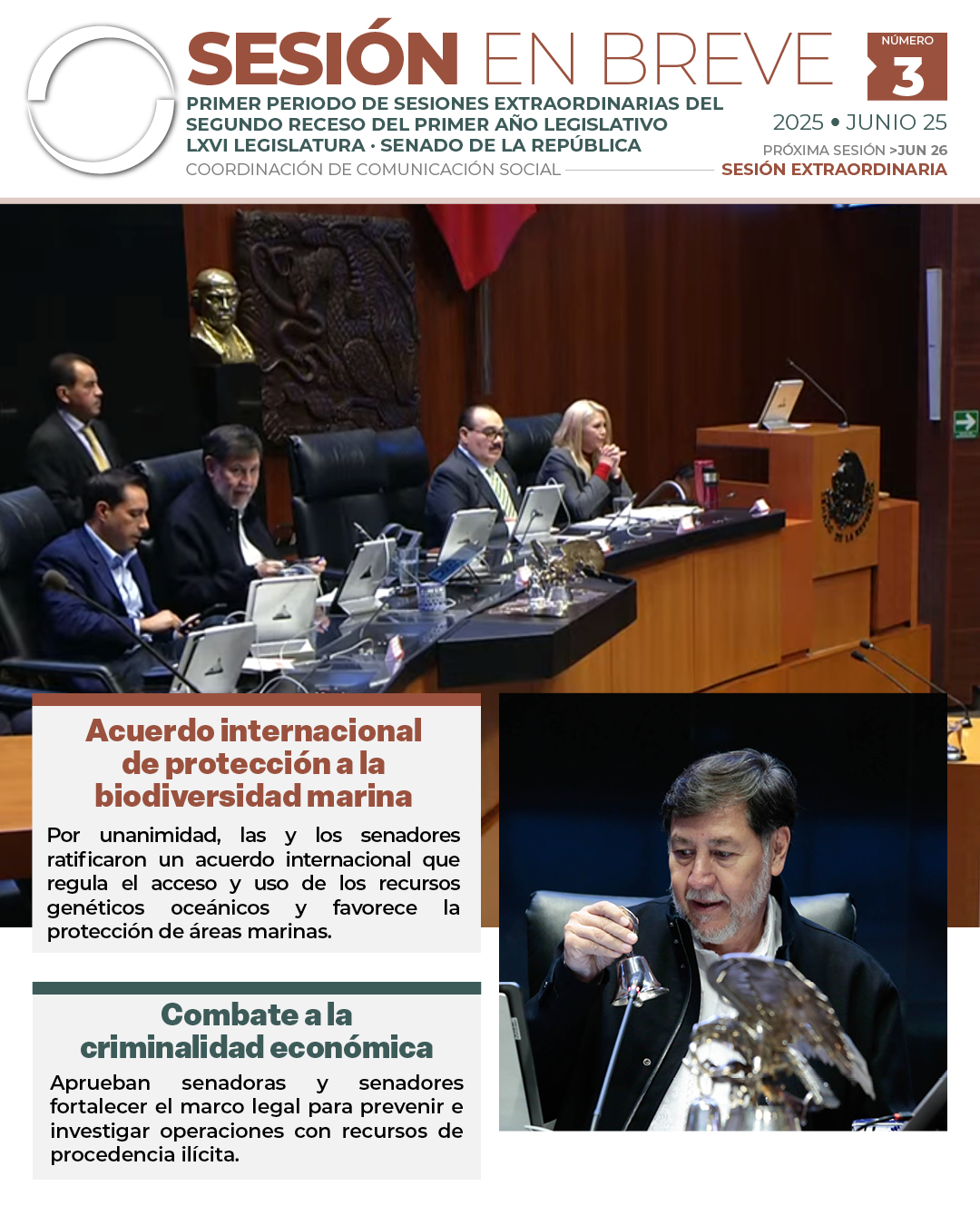 Sesión en breve de la sesión extraordinaria del Senado del 25 de junio de 2025